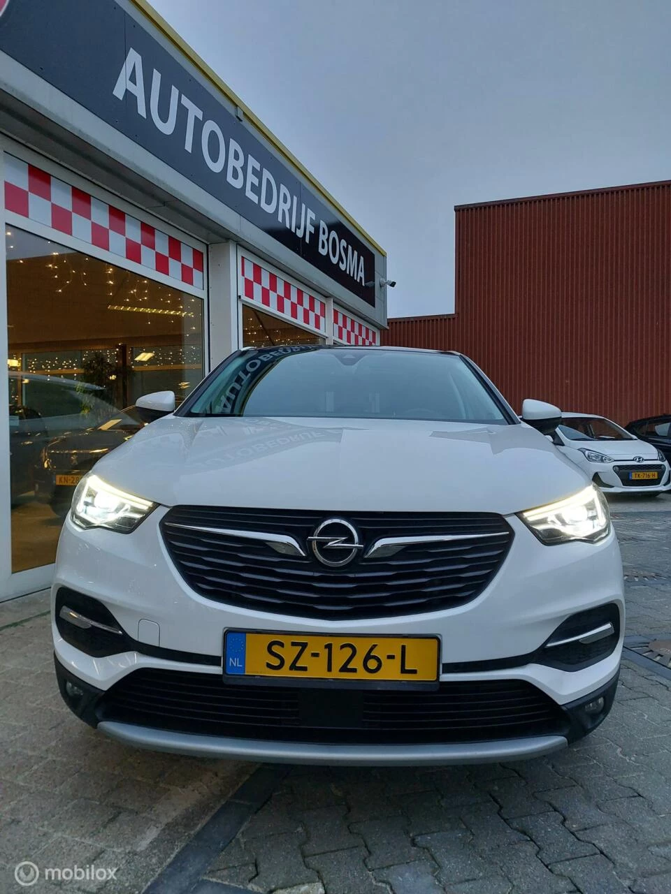 Hoofdafbeelding Opel Grandland X