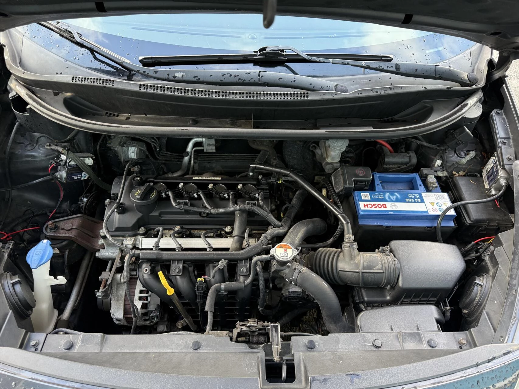 Hoofdafbeelding Kia Rio