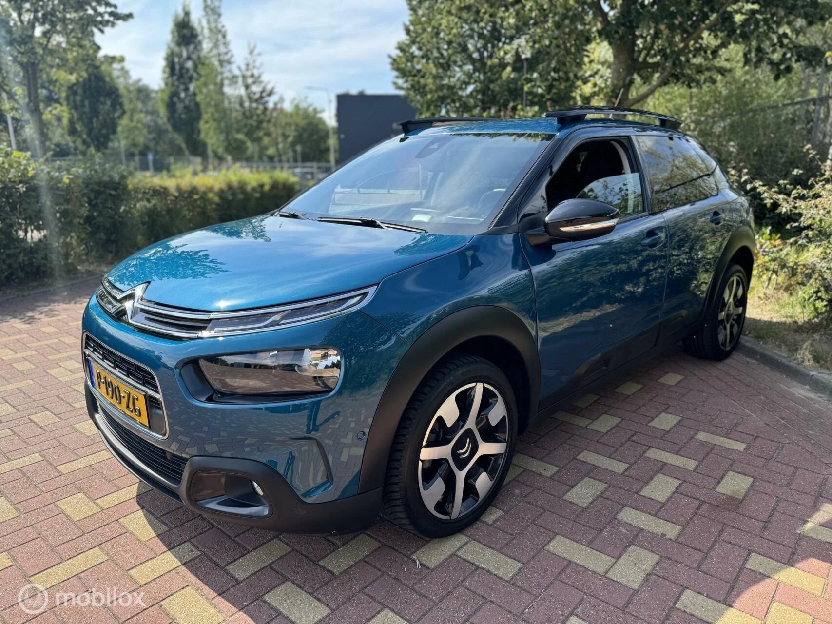 Hoofdafbeelding Citroën C4 Cactus