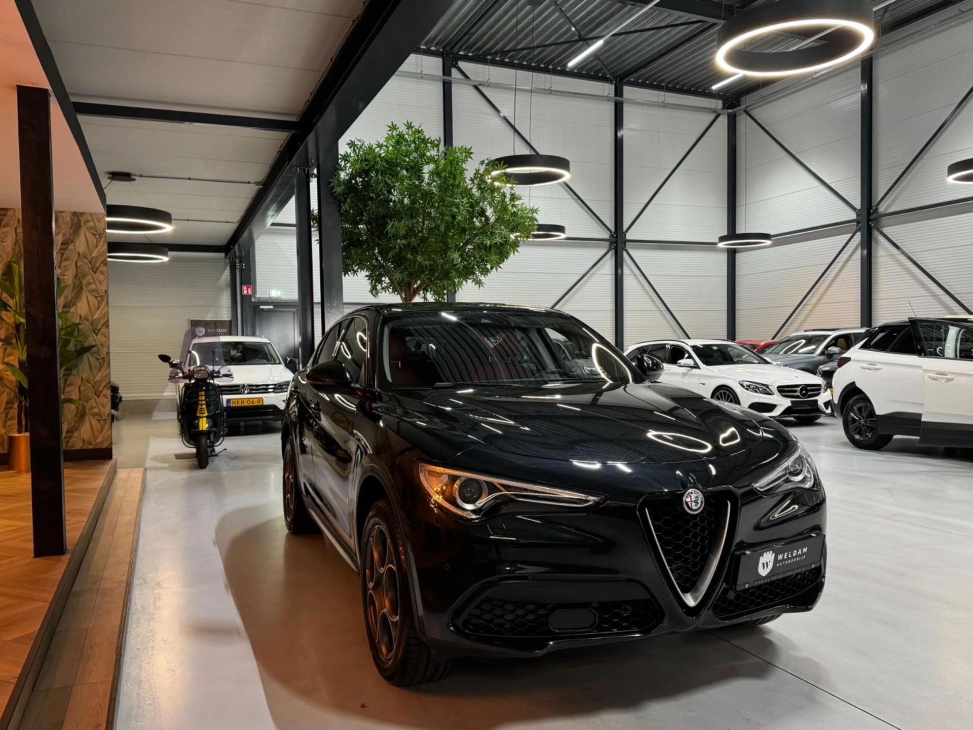 Hoofdafbeelding Alfa Romeo Stelvio