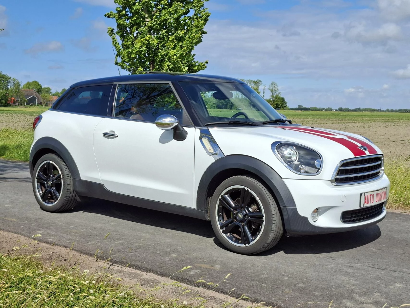 Hoofdafbeelding MINI Paceman
