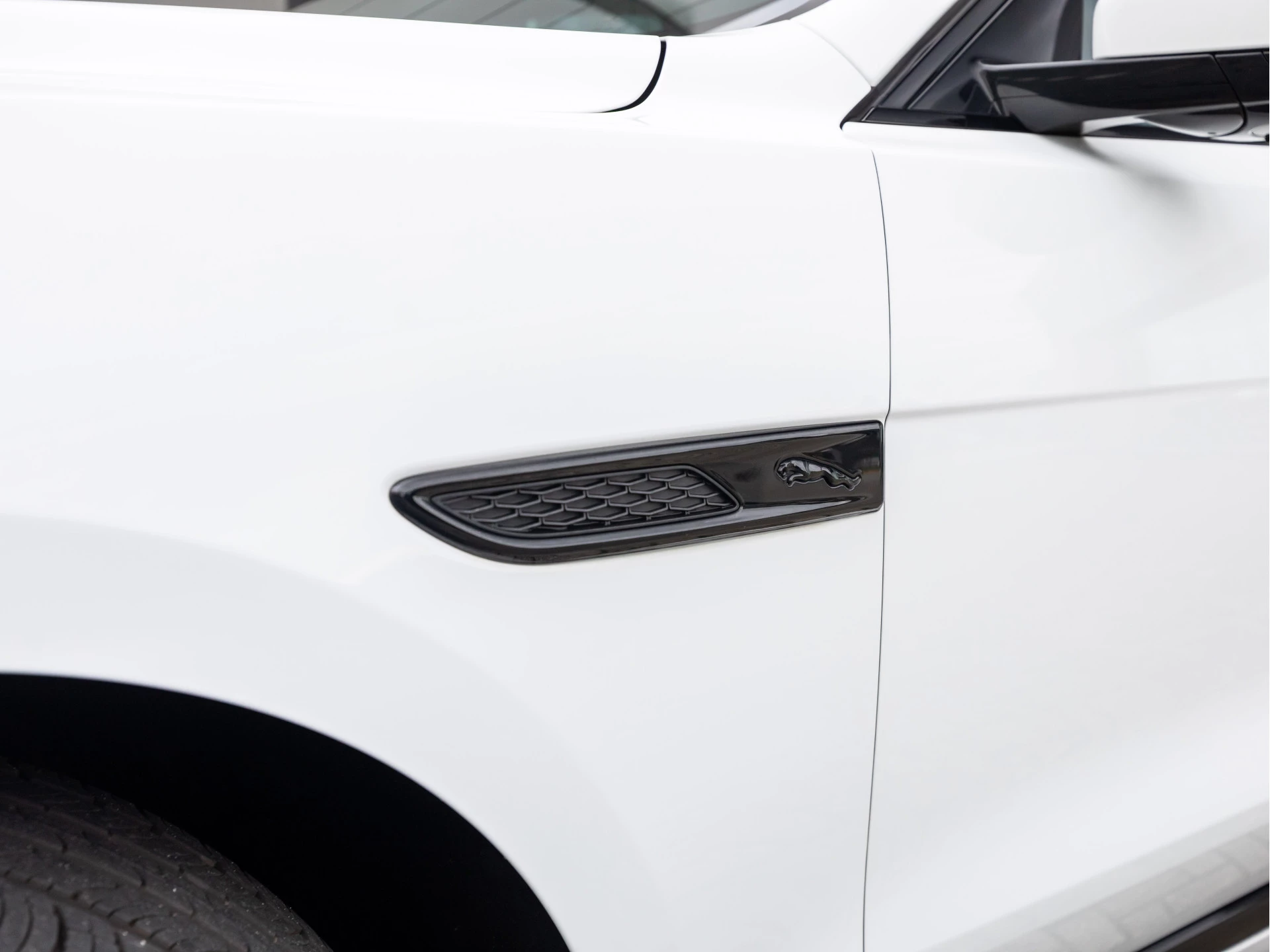 Hoofdafbeelding Jaguar F-PACE