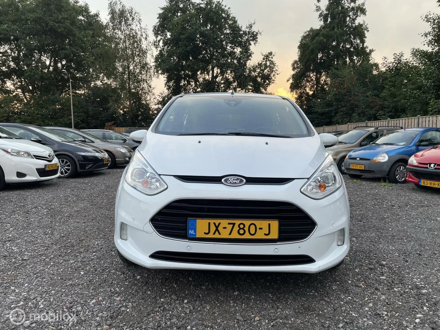 Hoofdafbeelding Ford B-MAX