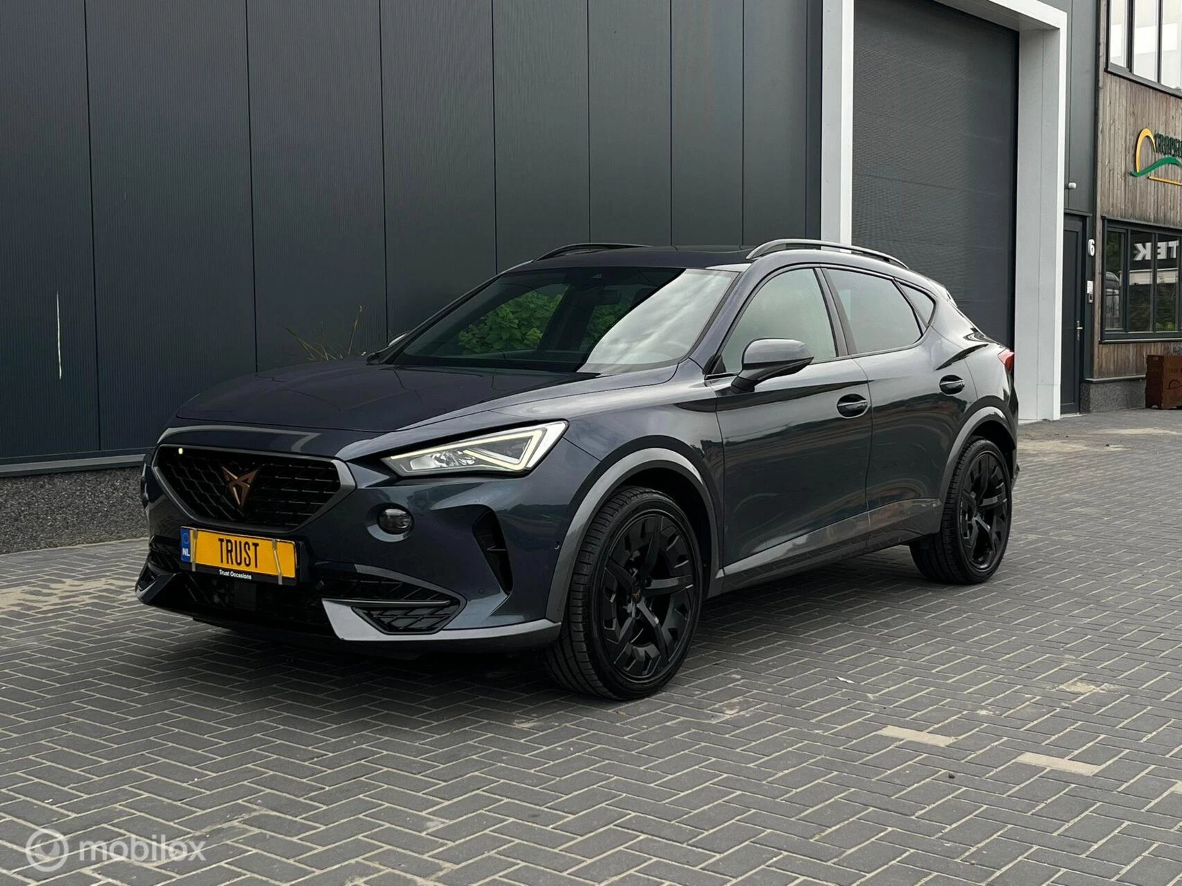 Hoofdafbeelding CUPRA Formentor