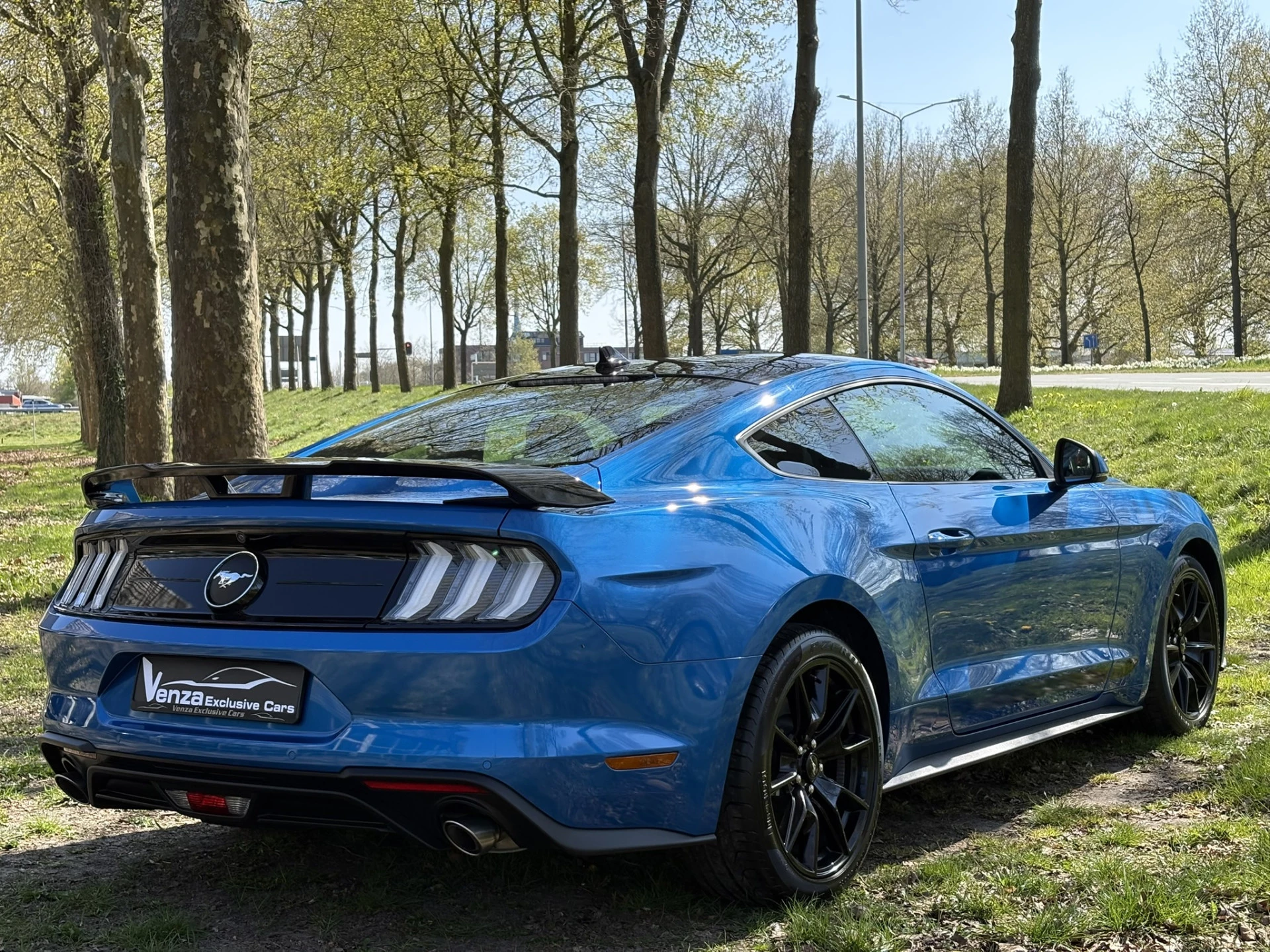 Hoofdafbeelding Ford Mustang