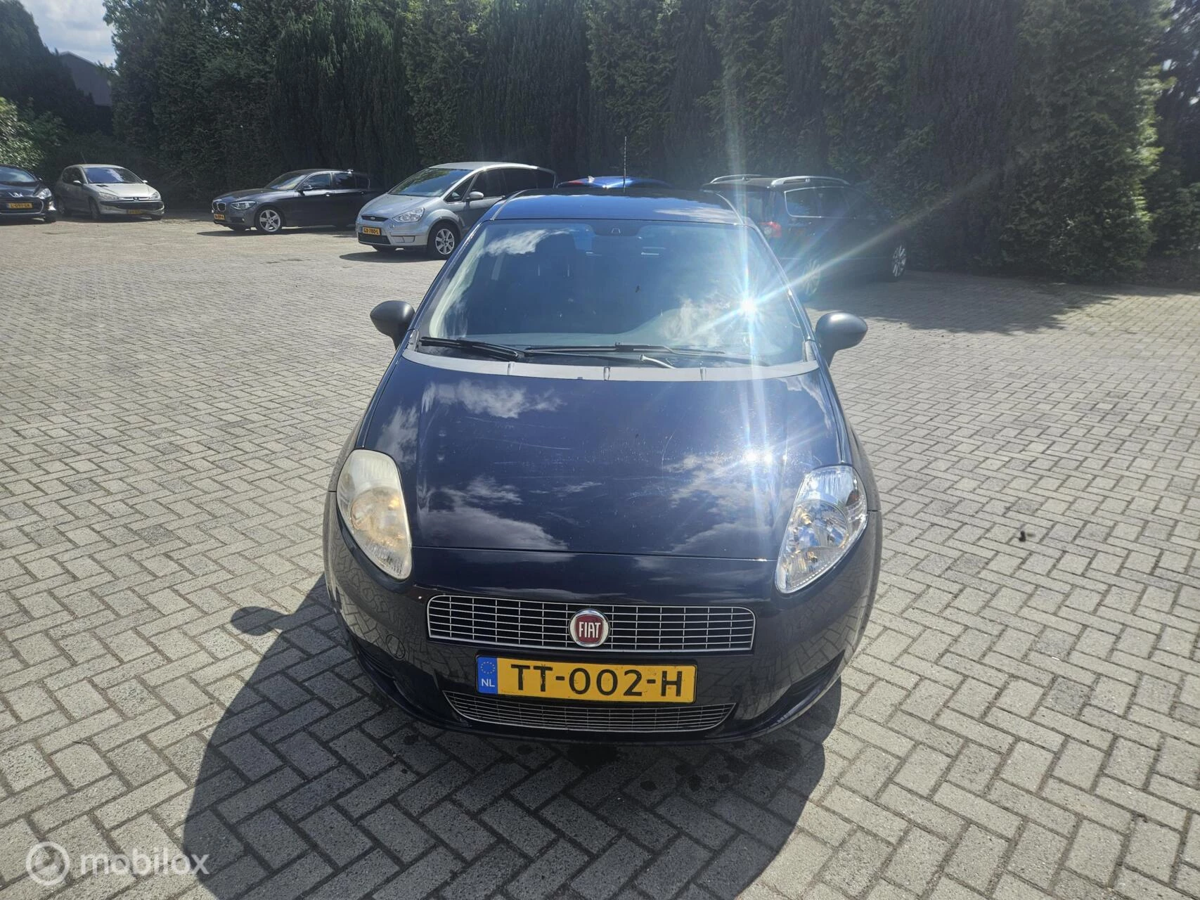 Hoofdafbeelding Fiat Punto