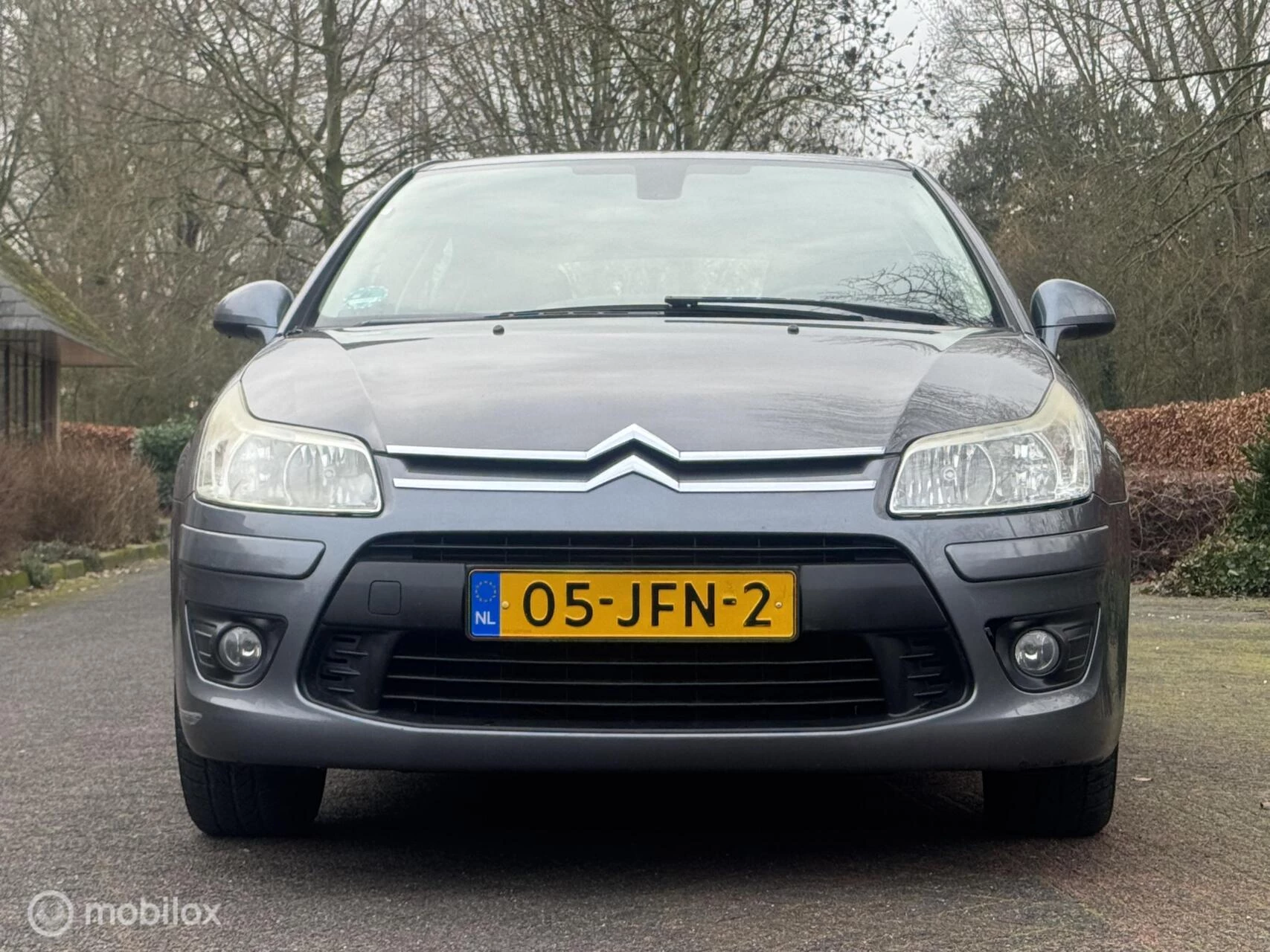 Hoofdafbeelding Citroën C4