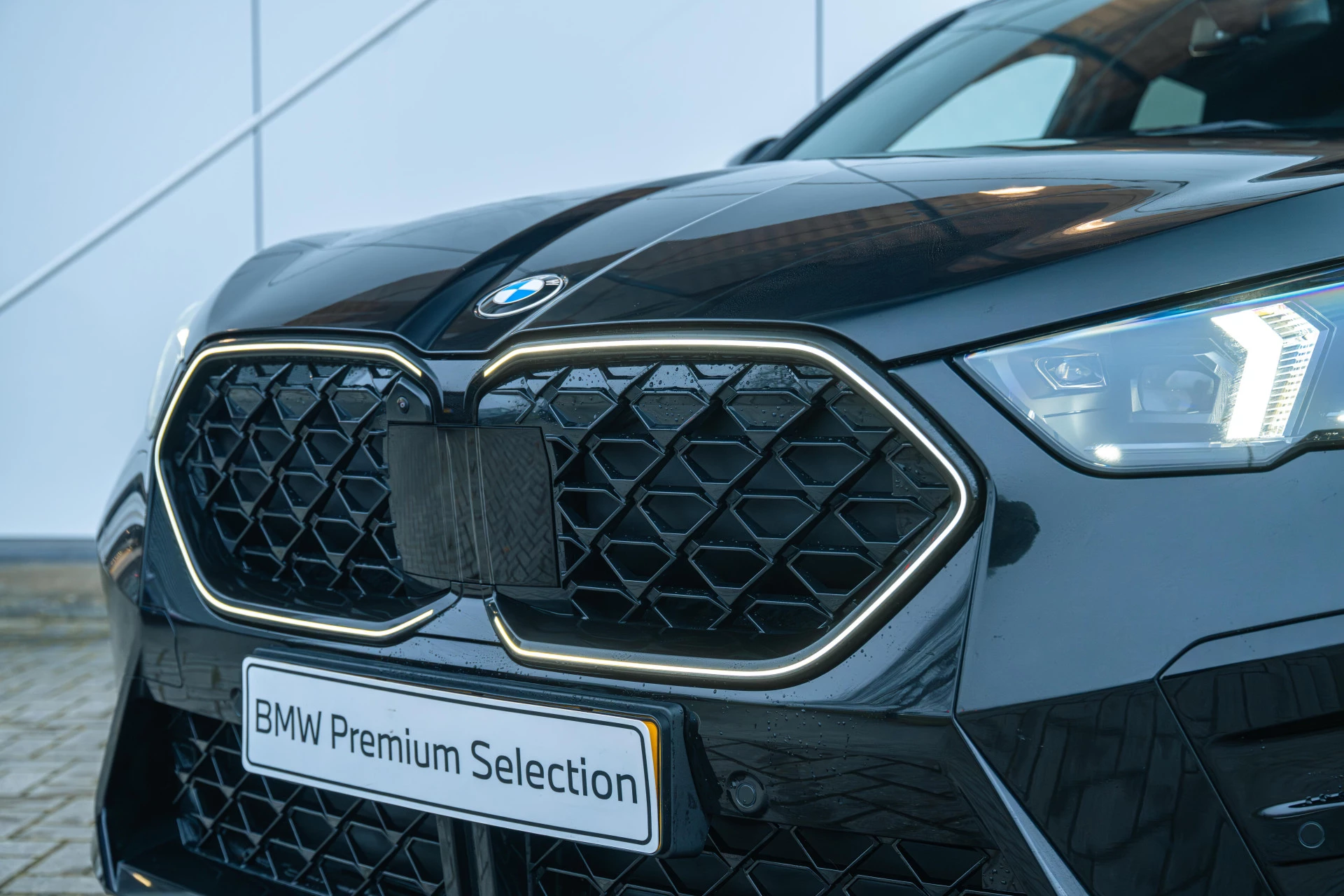 Hoofdafbeelding BMW X2