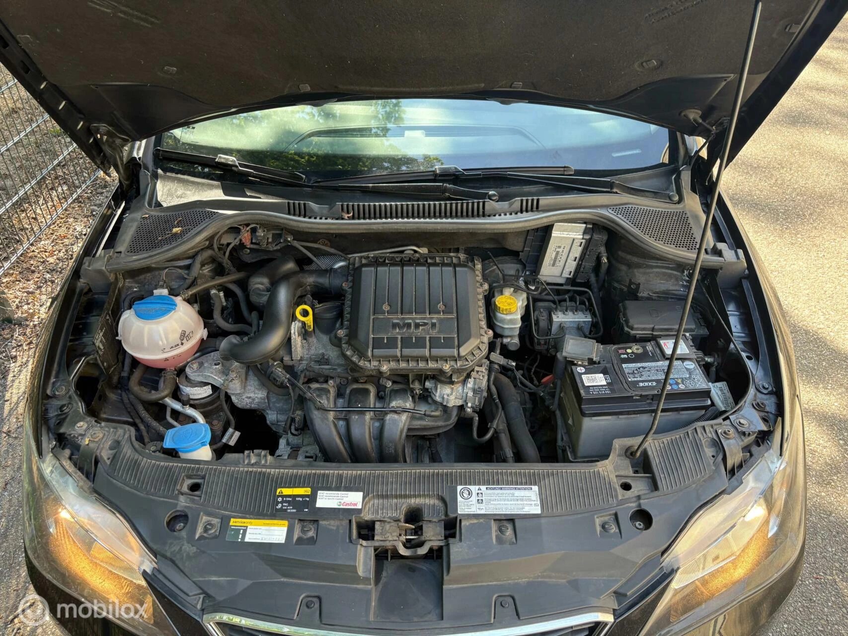 Hoofdafbeelding SEAT Ibiza
