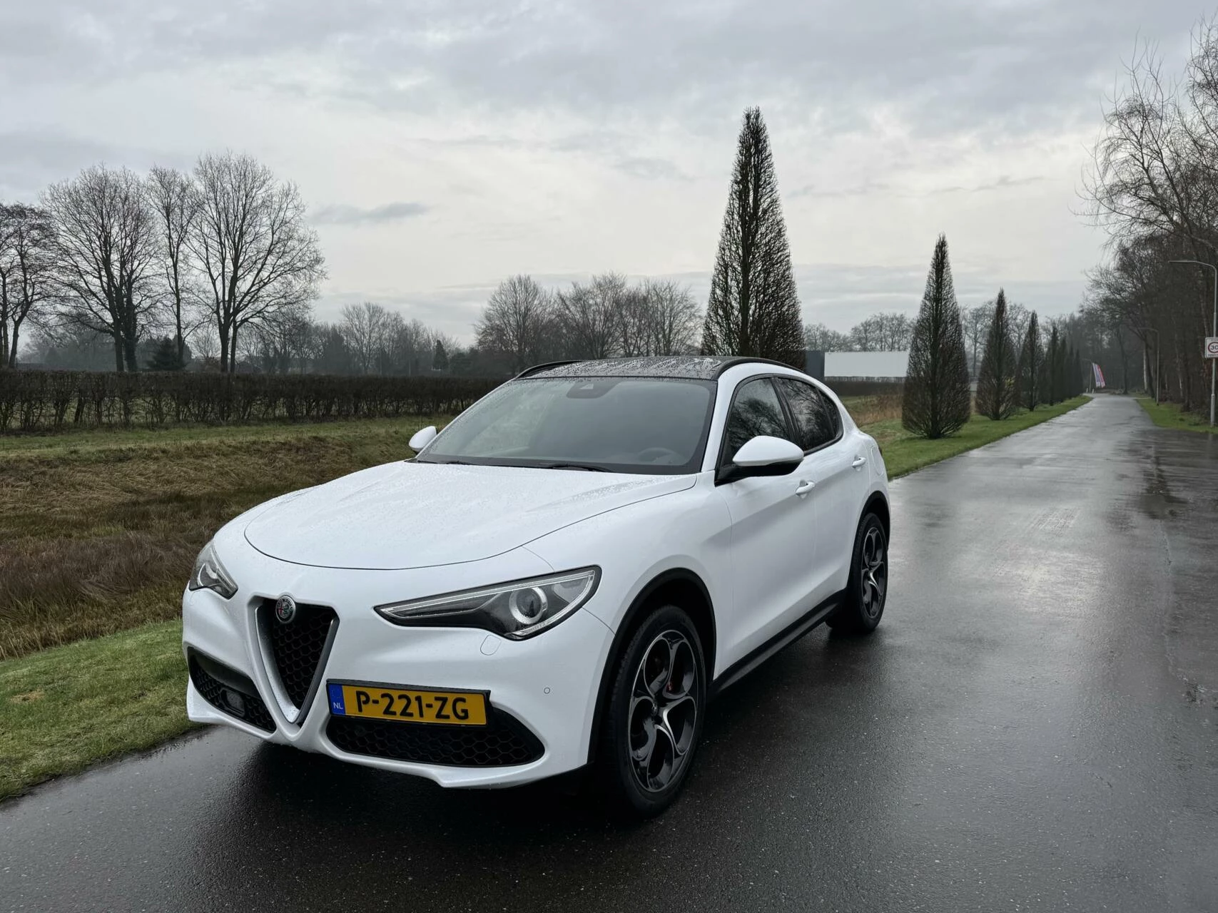 Hoofdafbeelding Alfa Romeo Stelvio