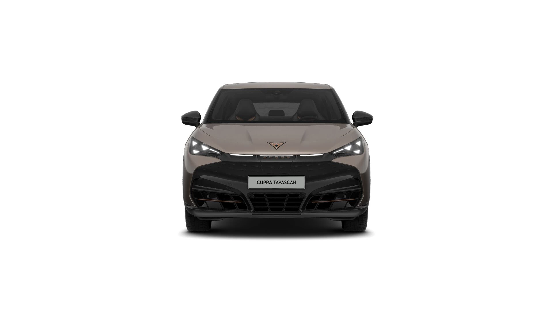Hoofdafbeelding CUPRA Tavascan