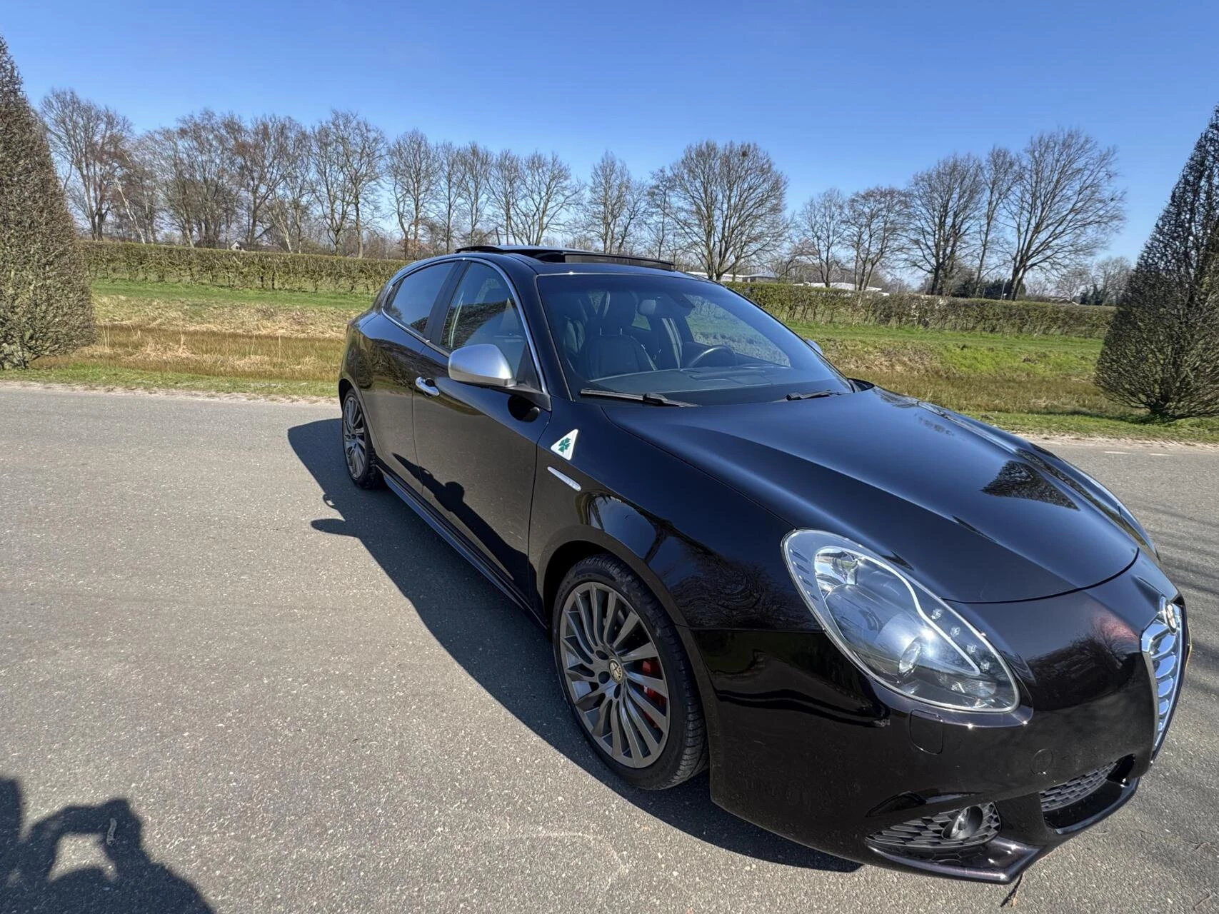 Hoofdafbeelding Alfa Romeo Giulietta