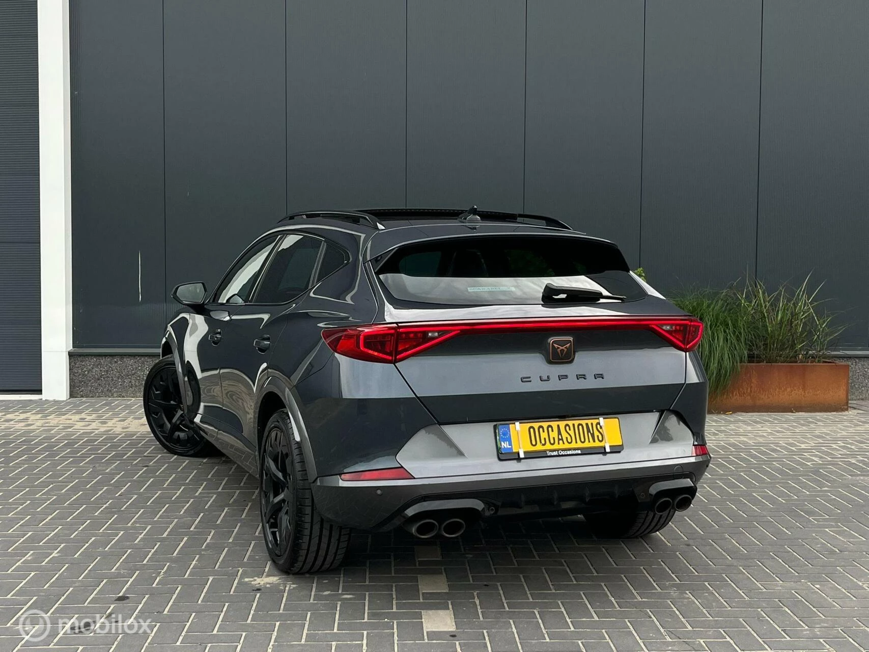 Hoofdafbeelding CUPRA Formentor