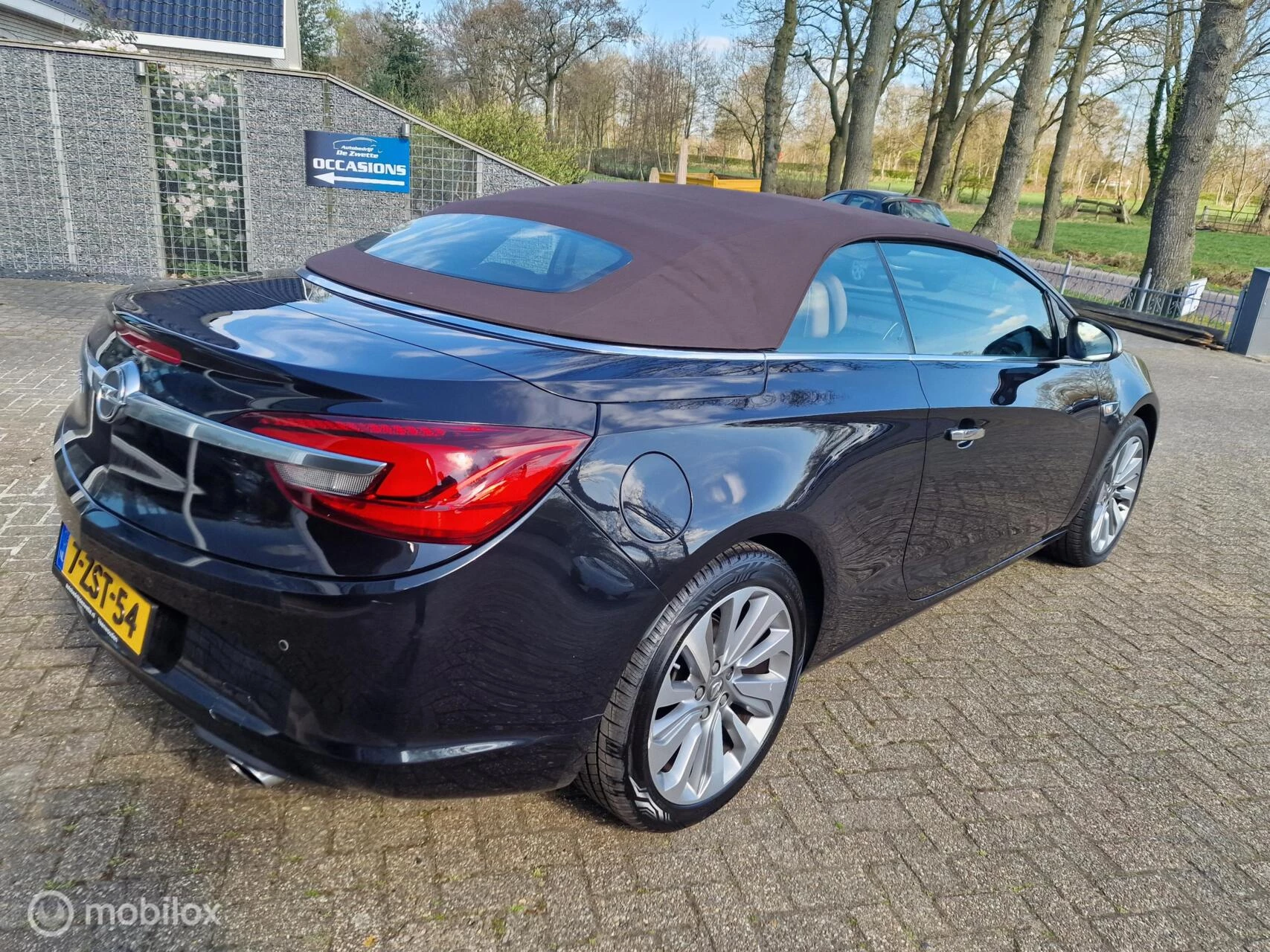 Hoofdafbeelding Opel Cascada