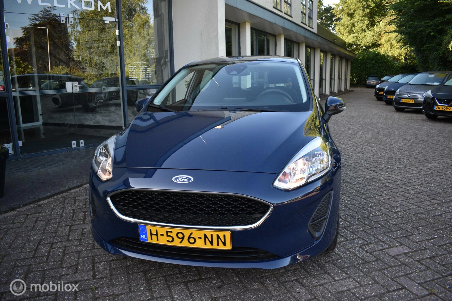Hoofdafbeelding Ford Fiesta