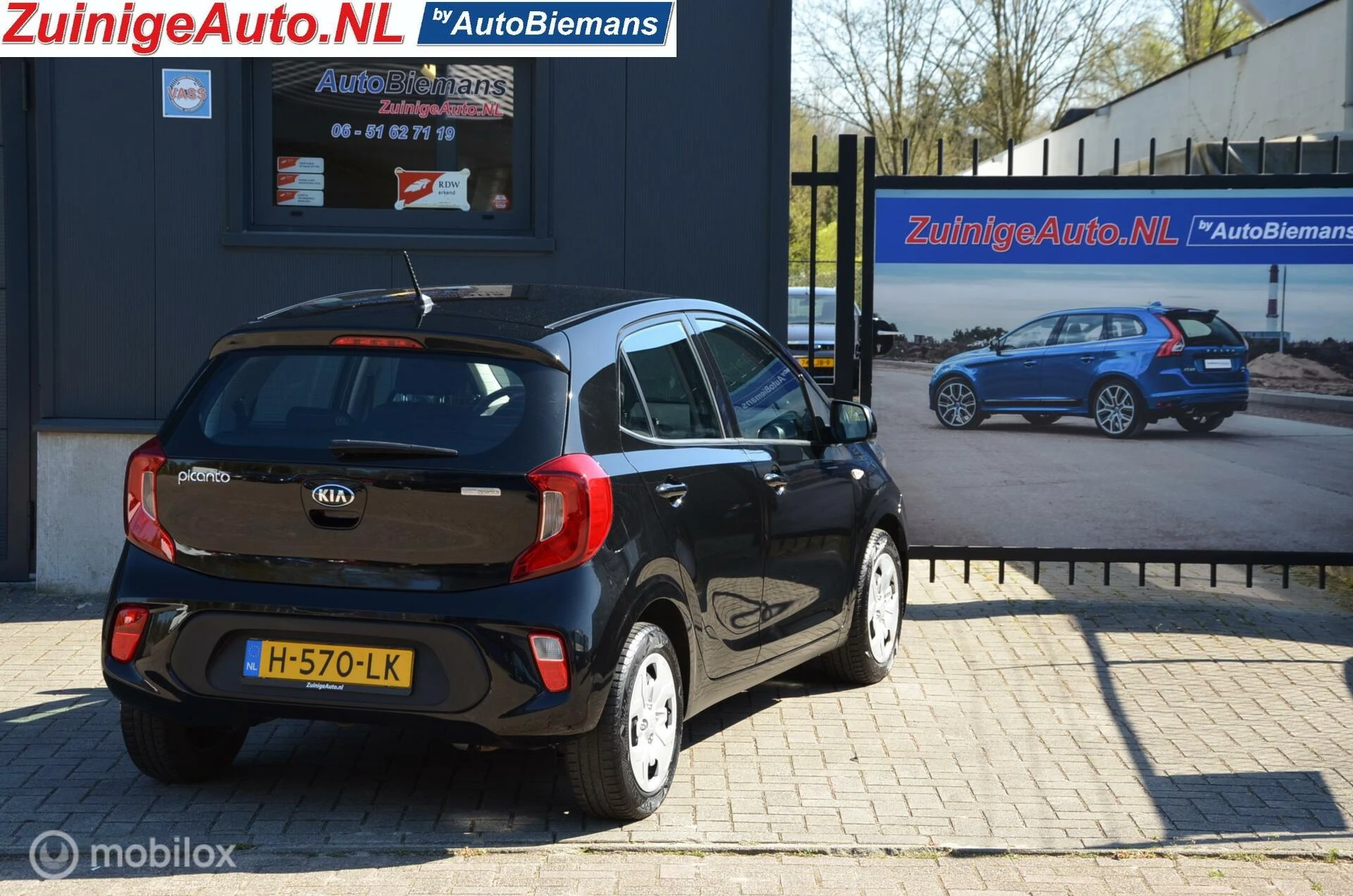 Hoofdafbeelding Kia Picanto