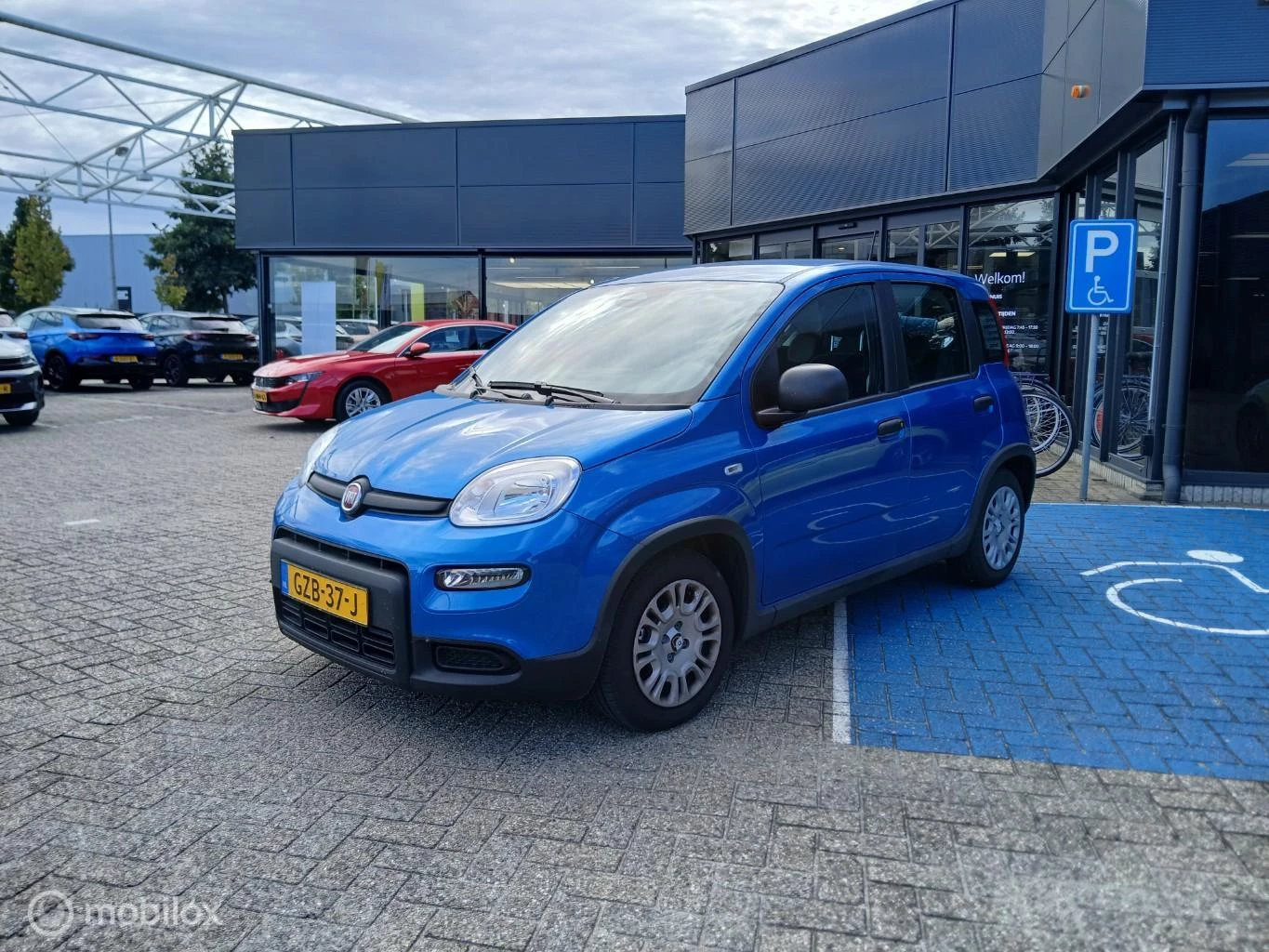 Hoofdafbeelding Fiat Panda