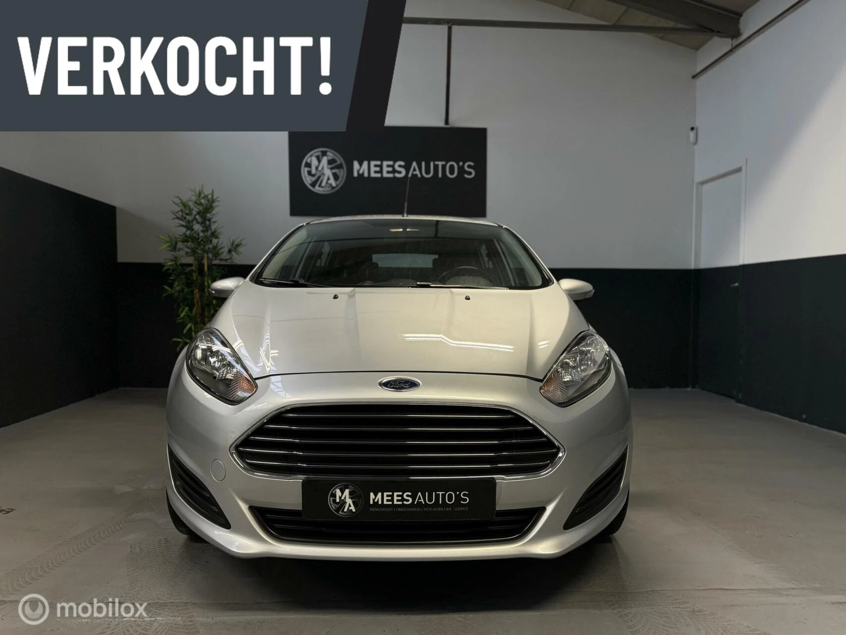 Hoofdafbeelding Ford Fiesta