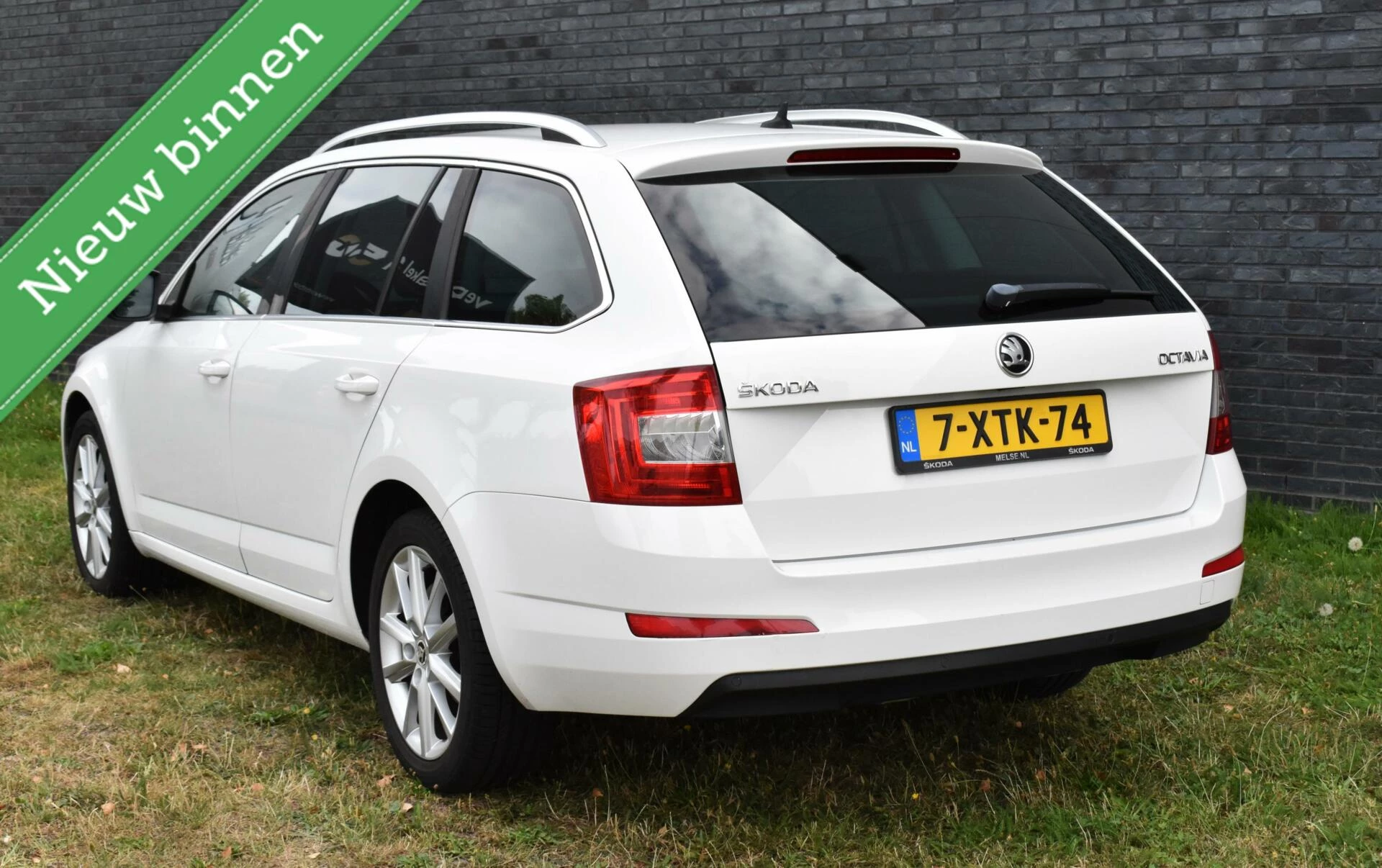 Hoofdafbeelding Škoda Octavia