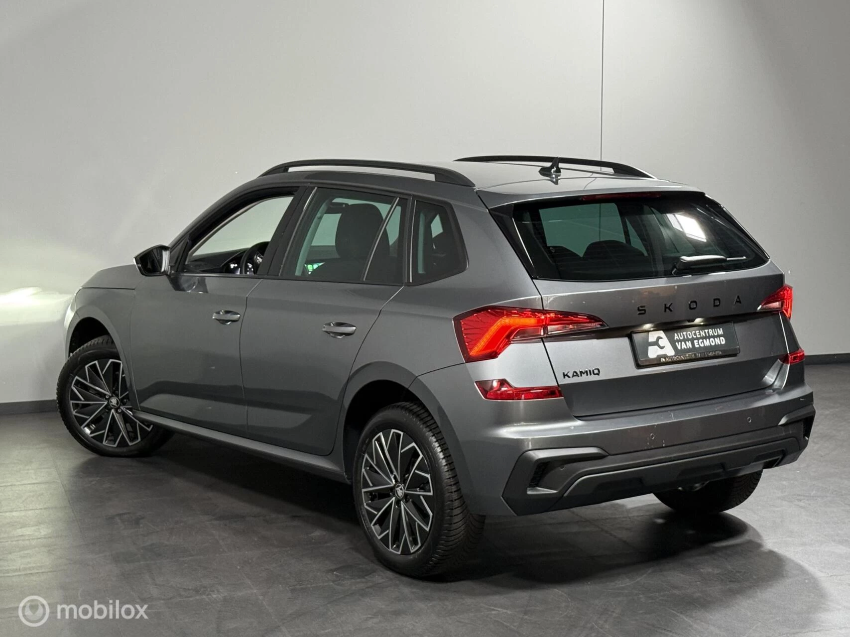 Hoofdafbeelding Škoda Kamiq