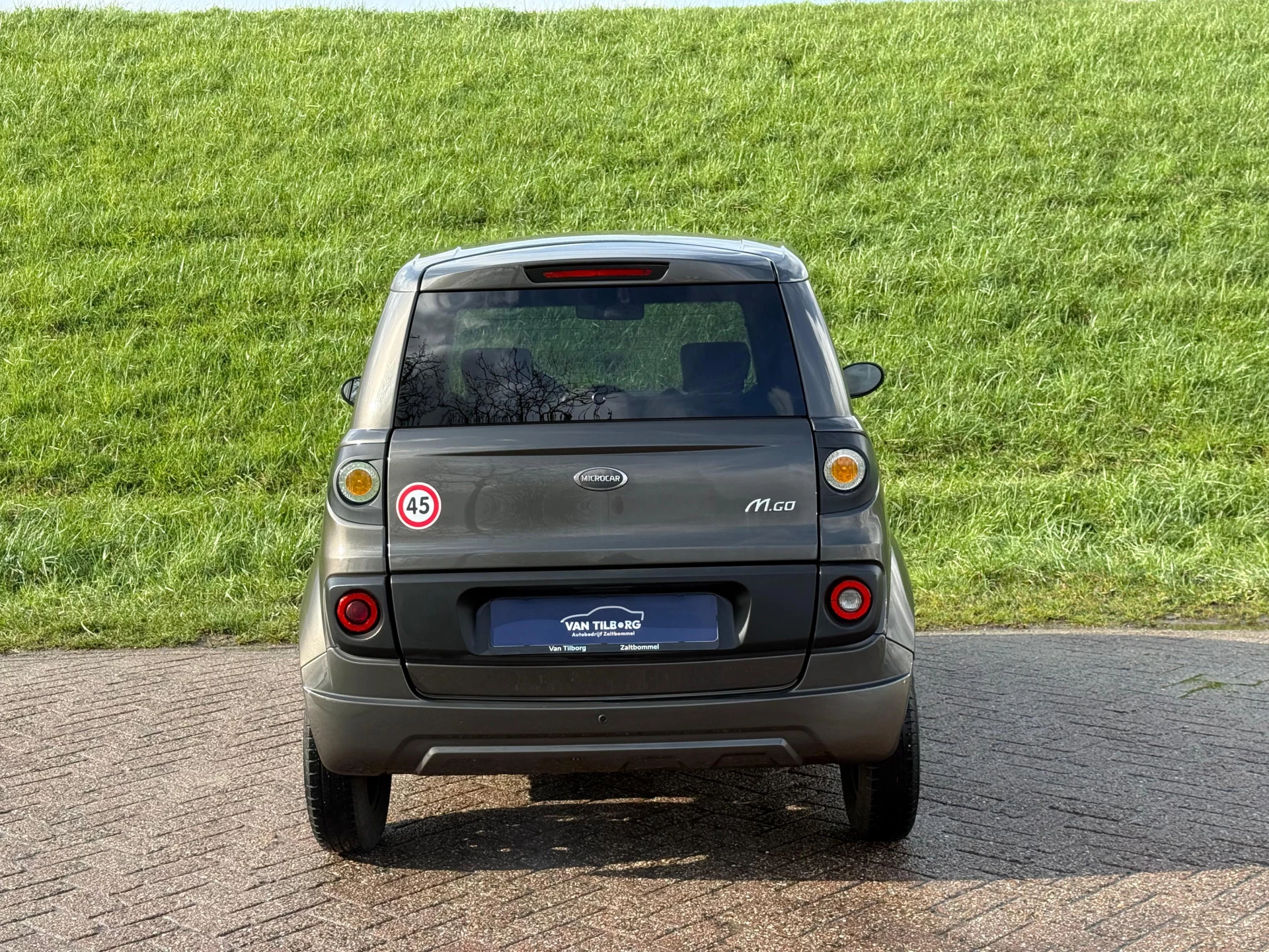 Hoofdafbeelding Microcar M.go