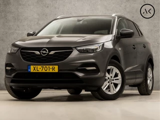 Hoofdafbeelding Opel Grandland X Opel Grandland X 1.2 Turbo Sport (APPLE CARPLAY, GROOT NAVI, CAMERA, LEDER, GETINT GLAS, SPORTSTOELEN, PARKEERSENSOREN, CRUISE, NIEUWE APK, NIEUWSTAAT)