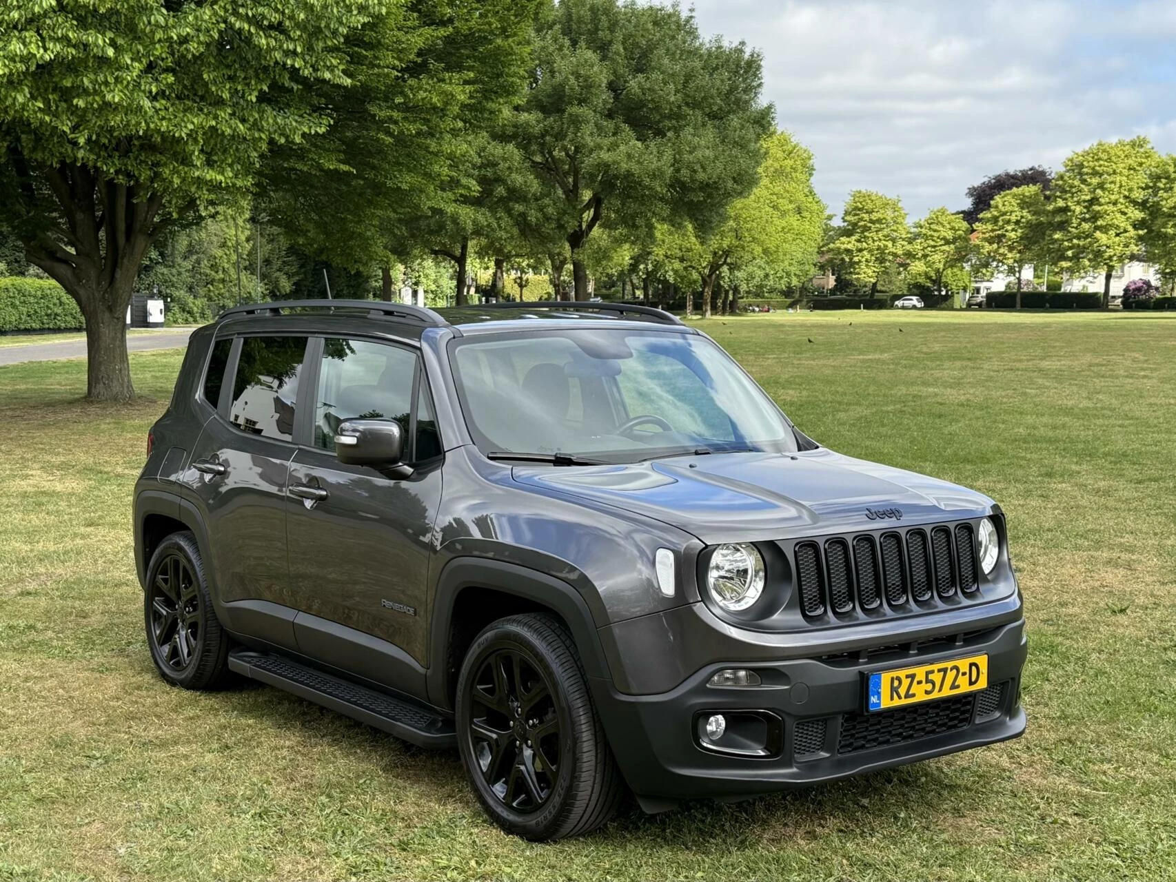 Hoofdafbeelding Jeep Renegade