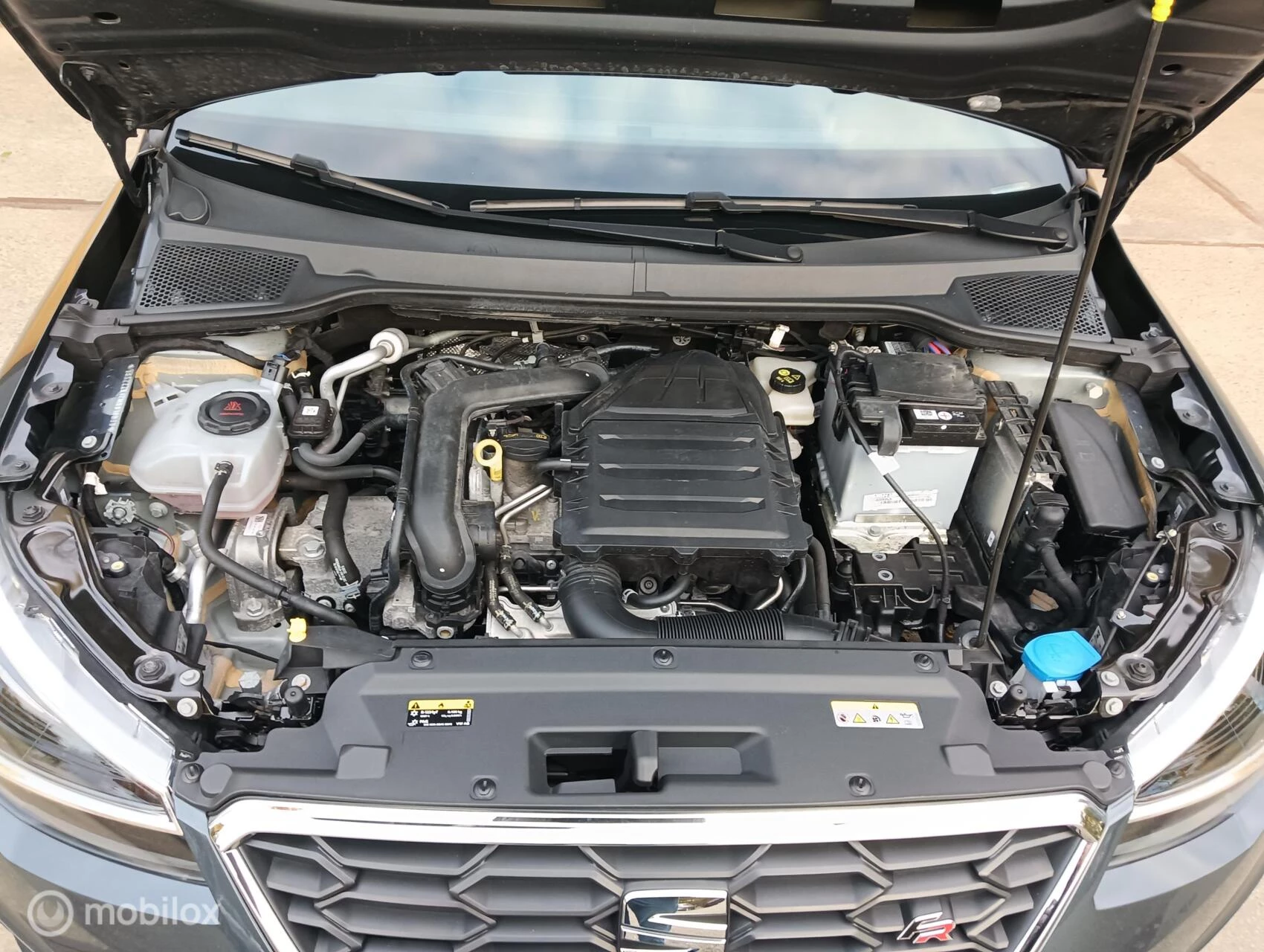 Hoofdafbeelding SEAT Arona