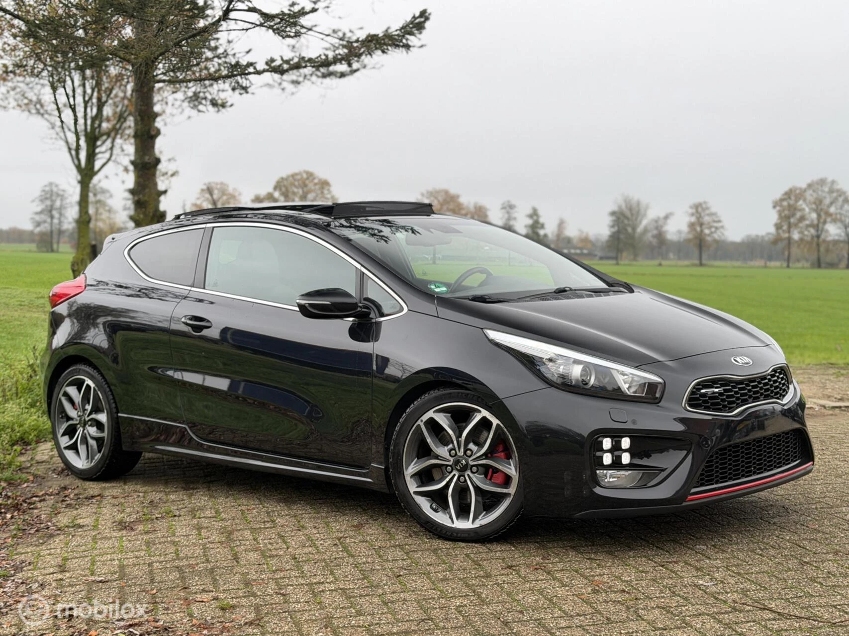 Hoofdafbeelding Kia pro_cee'd