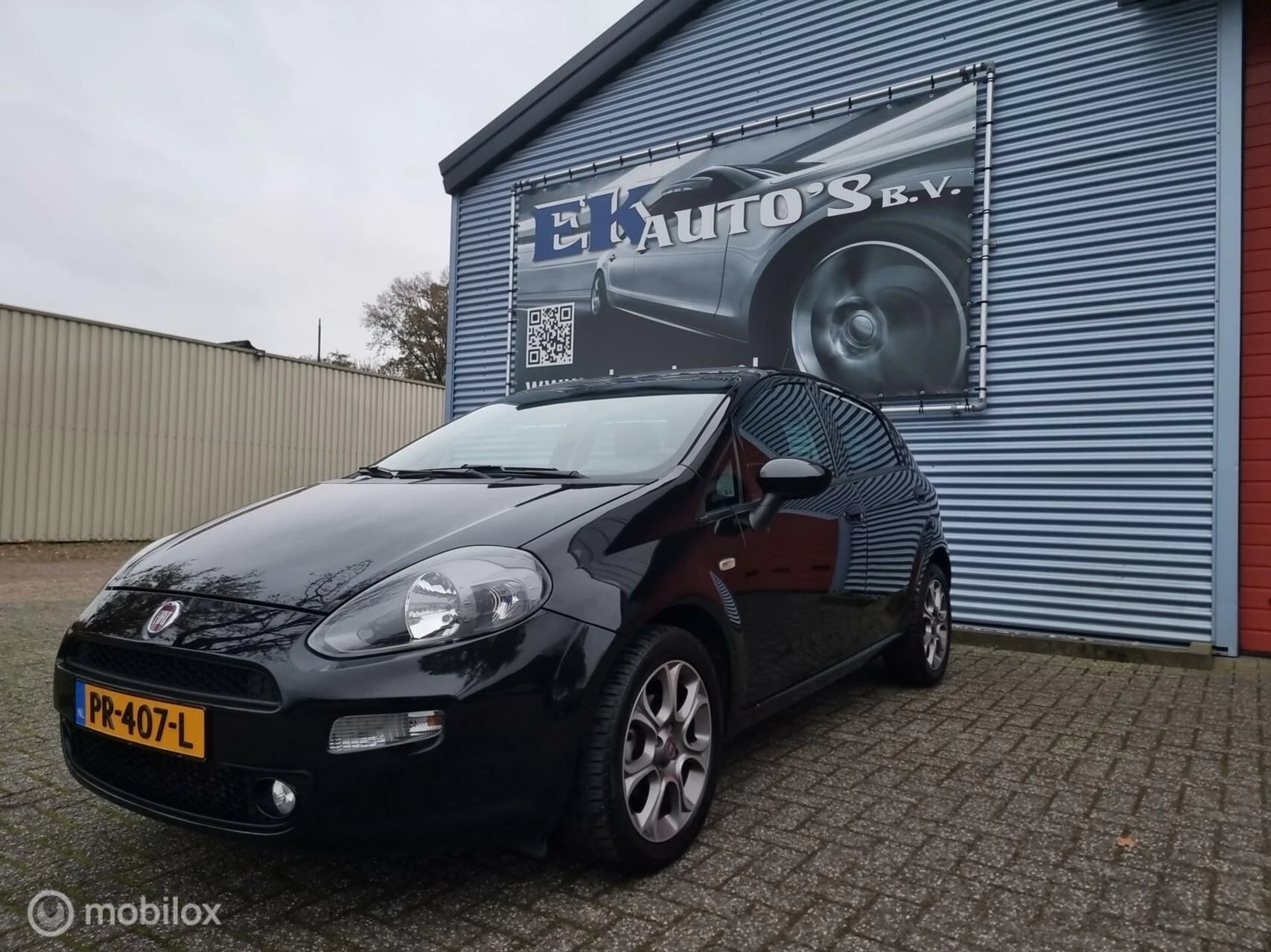 Hoofdafbeelding Fiat Punto