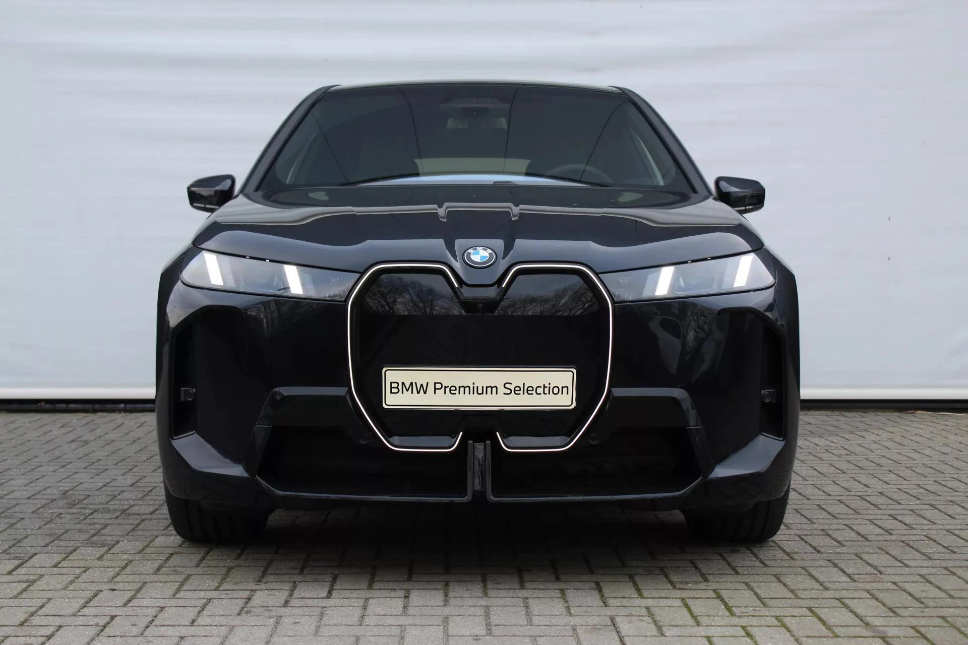 Hoofdafbeelding BMW iX