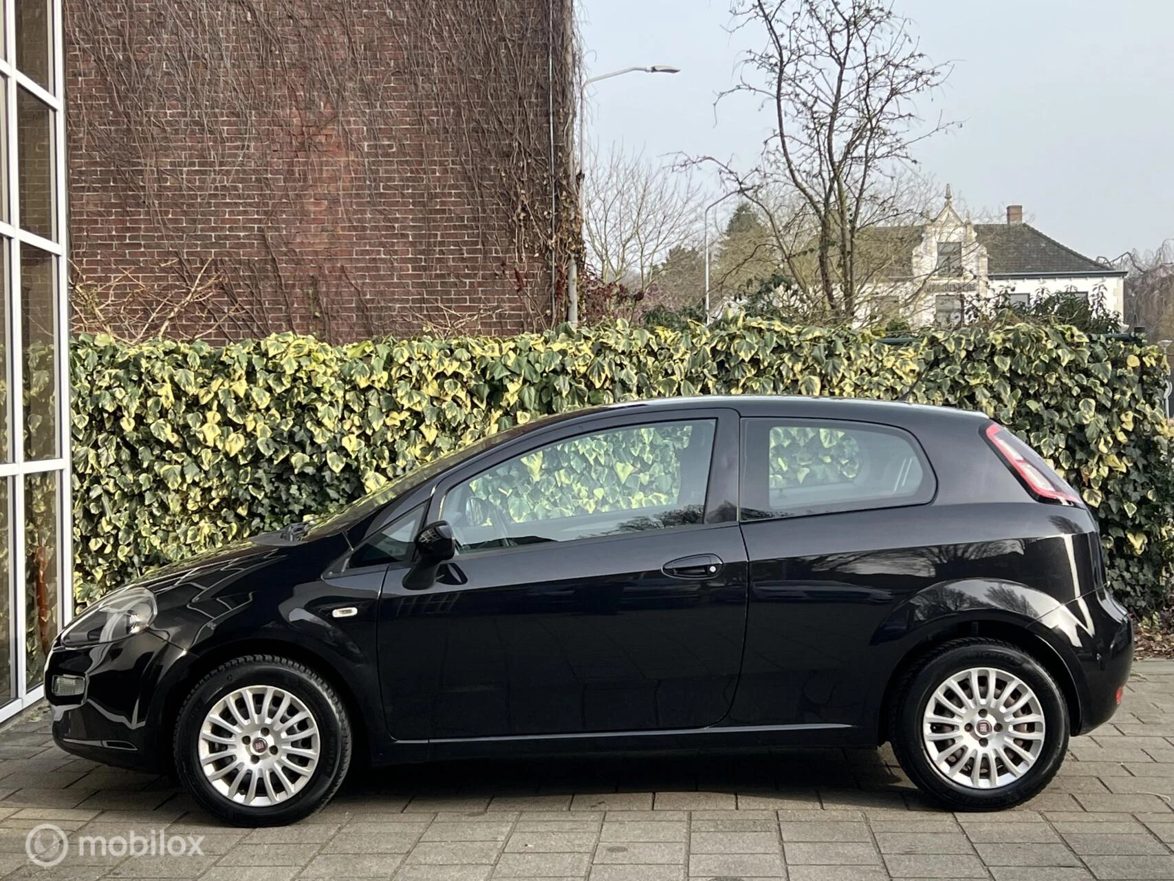 Hoofdafbeelding Fiat Punto