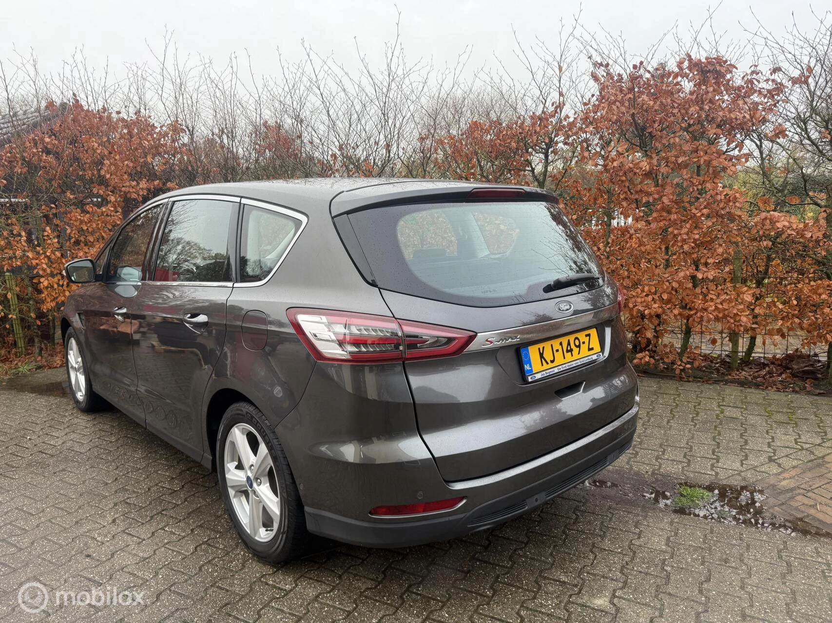 Hoofdafbeelding Ford S-Max