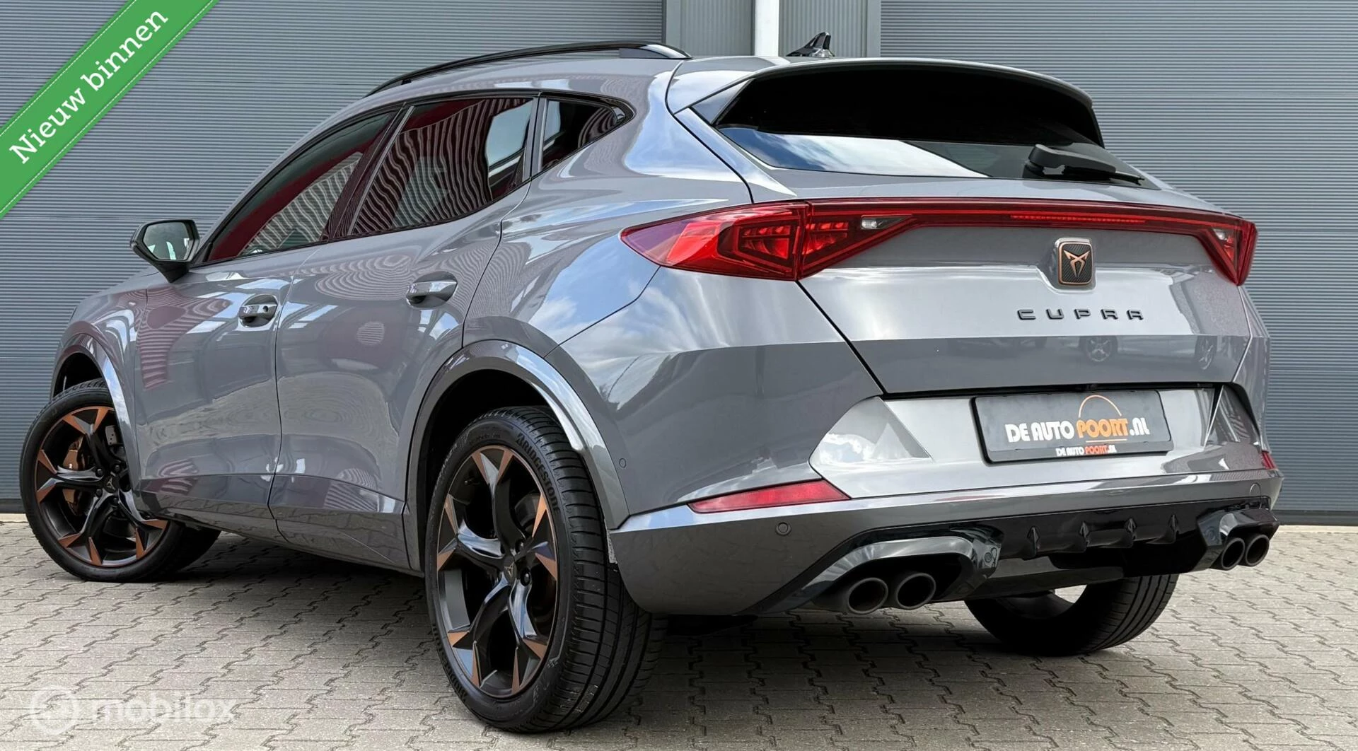 Hoofdafbeelding CUPRA Formentor