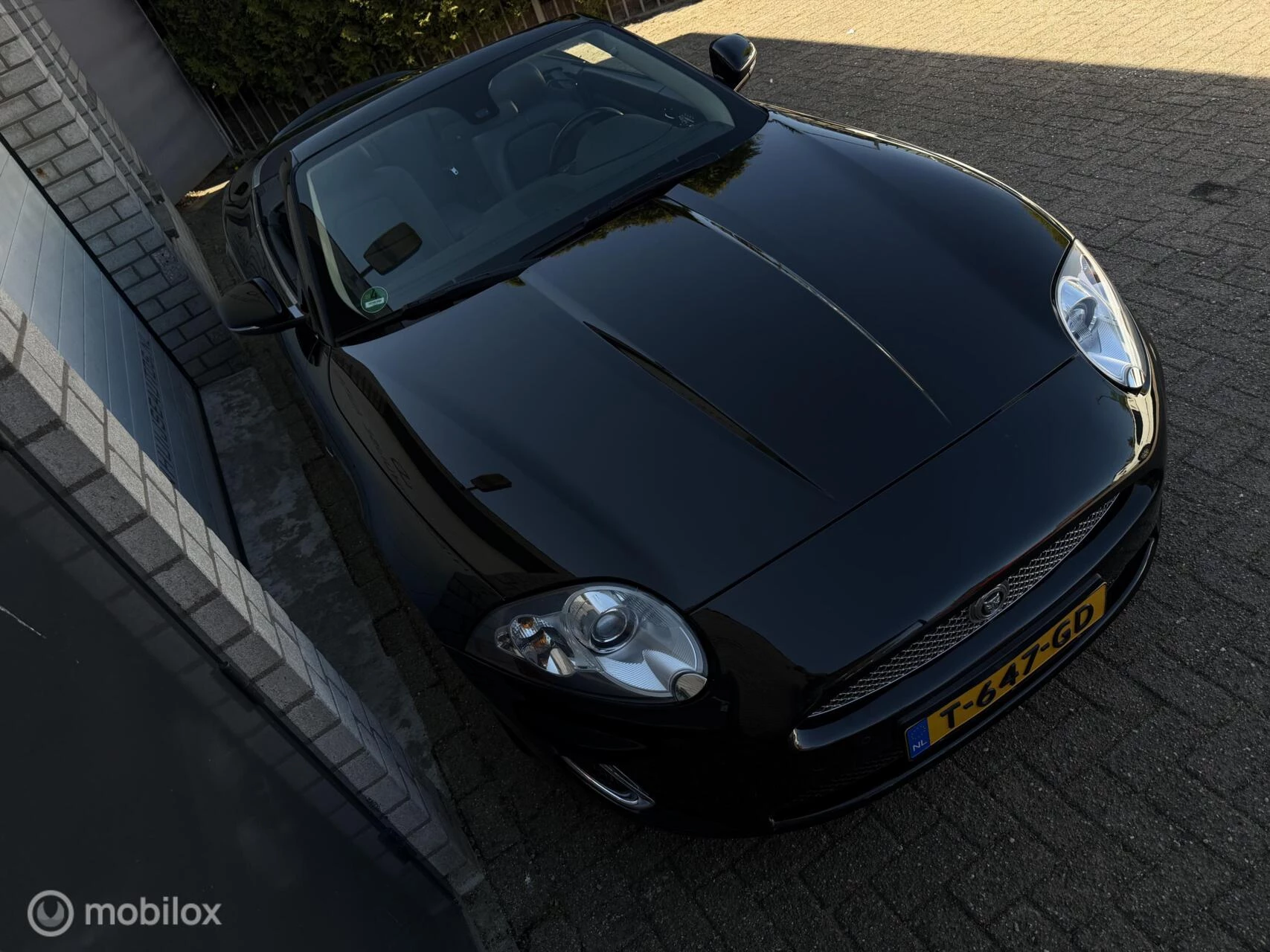Hoofdafbeelding Jaguar XK