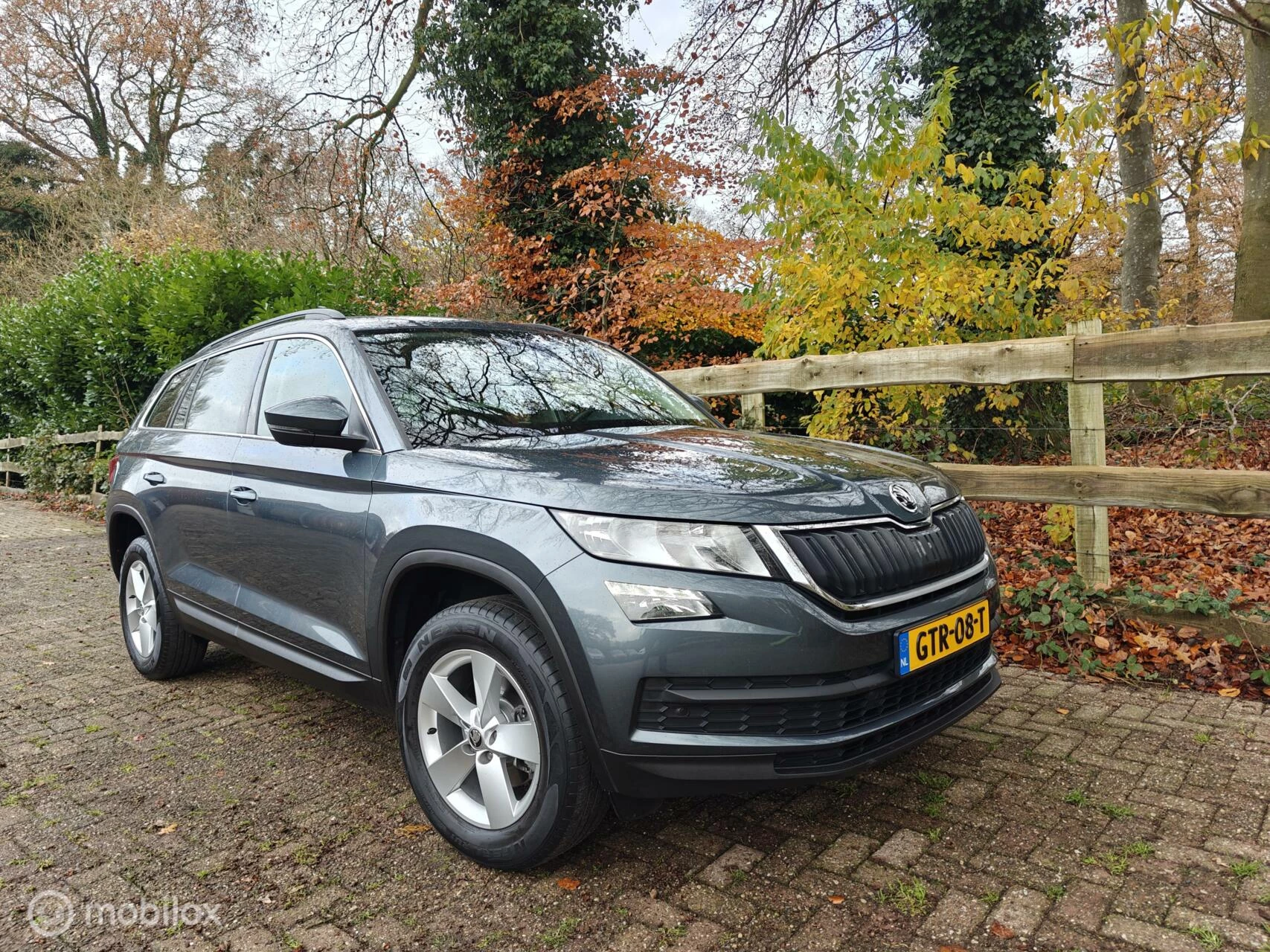 Hoofdafbeelding Škoda Kodiaq