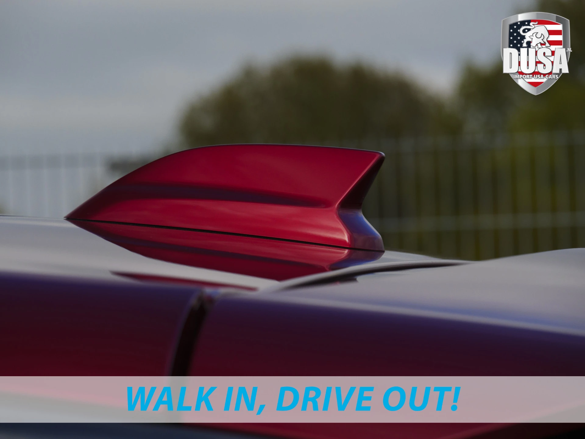 Hoofdafbeelding Cadillac Lyriq | Sport