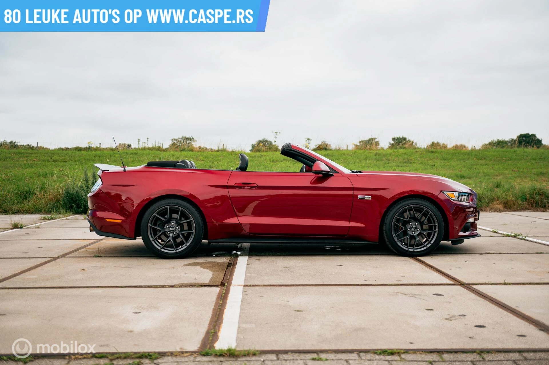 Hoofdafbeelding Ford Mustang