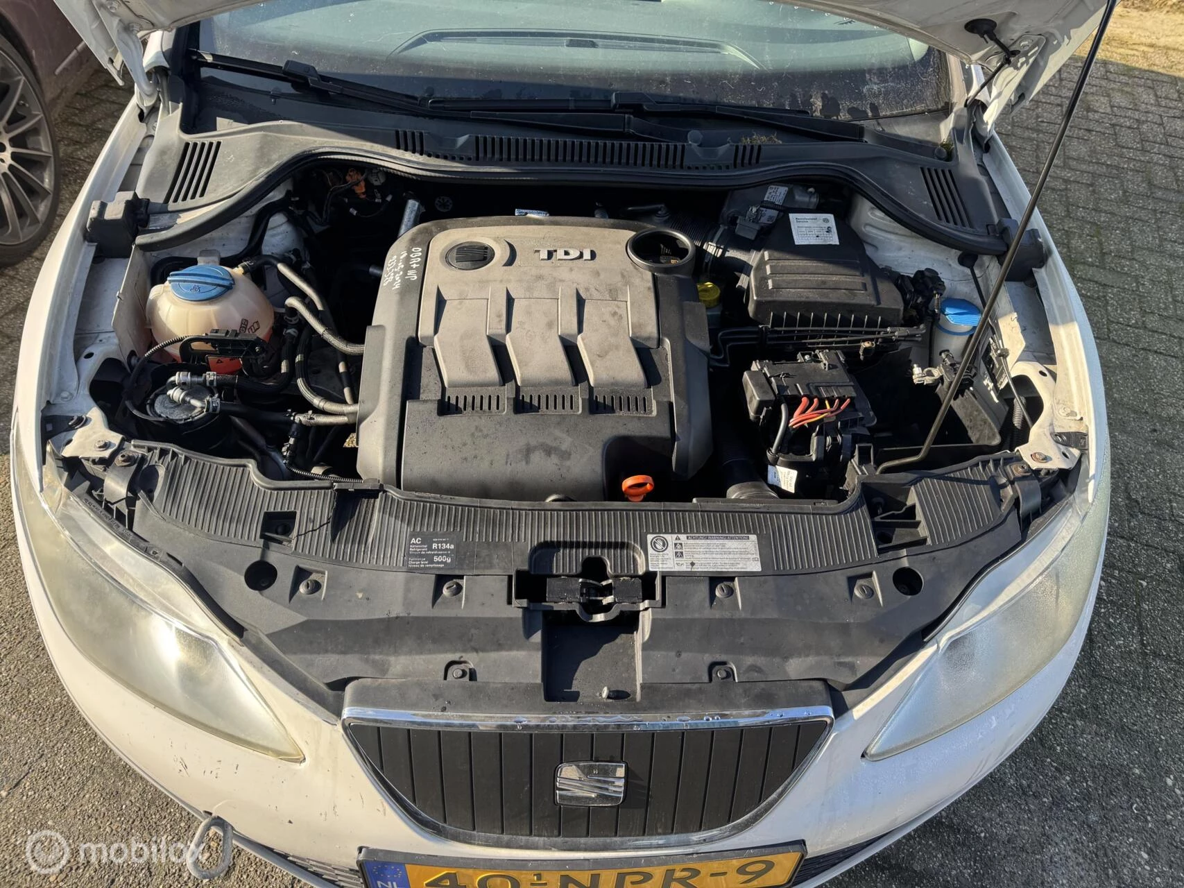 Hoofdafbeelding SEAT Ibiza