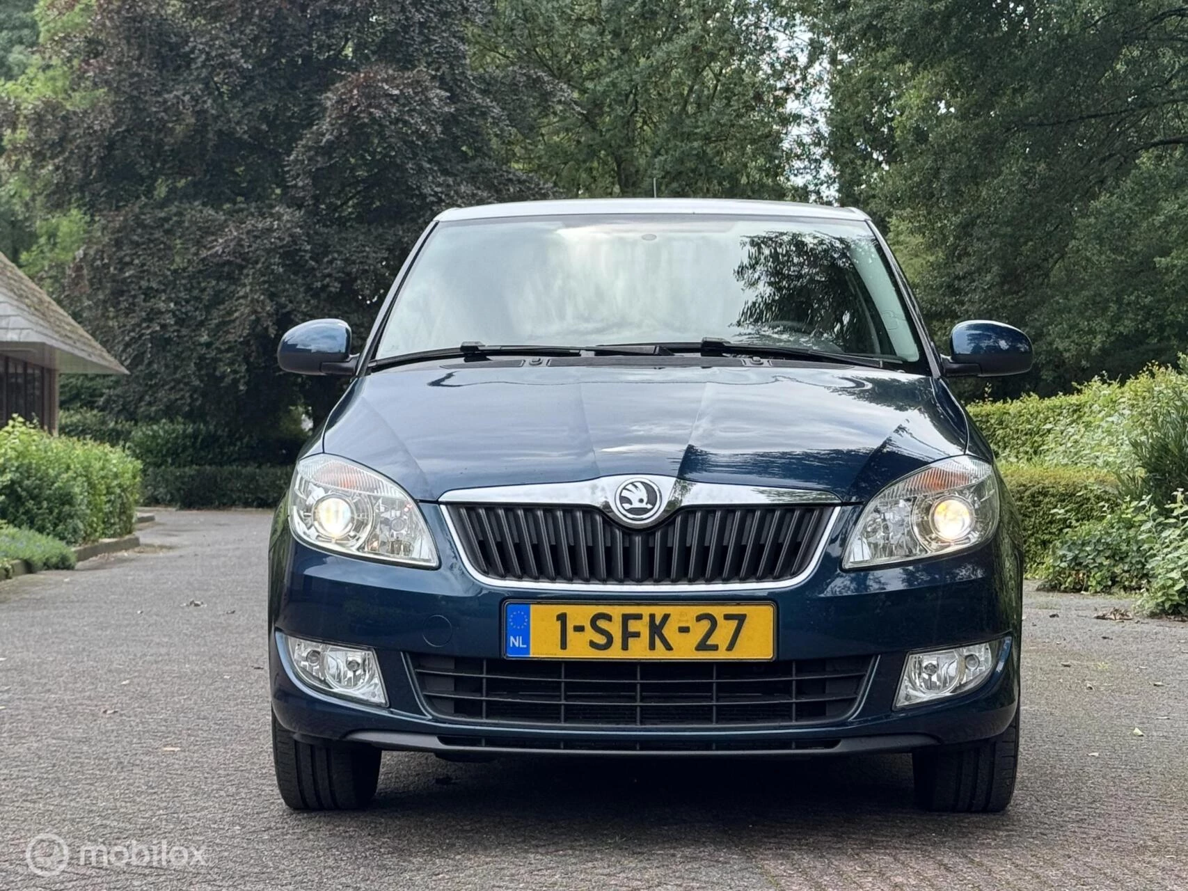 Hoofdafbeelding Škoda Fabia