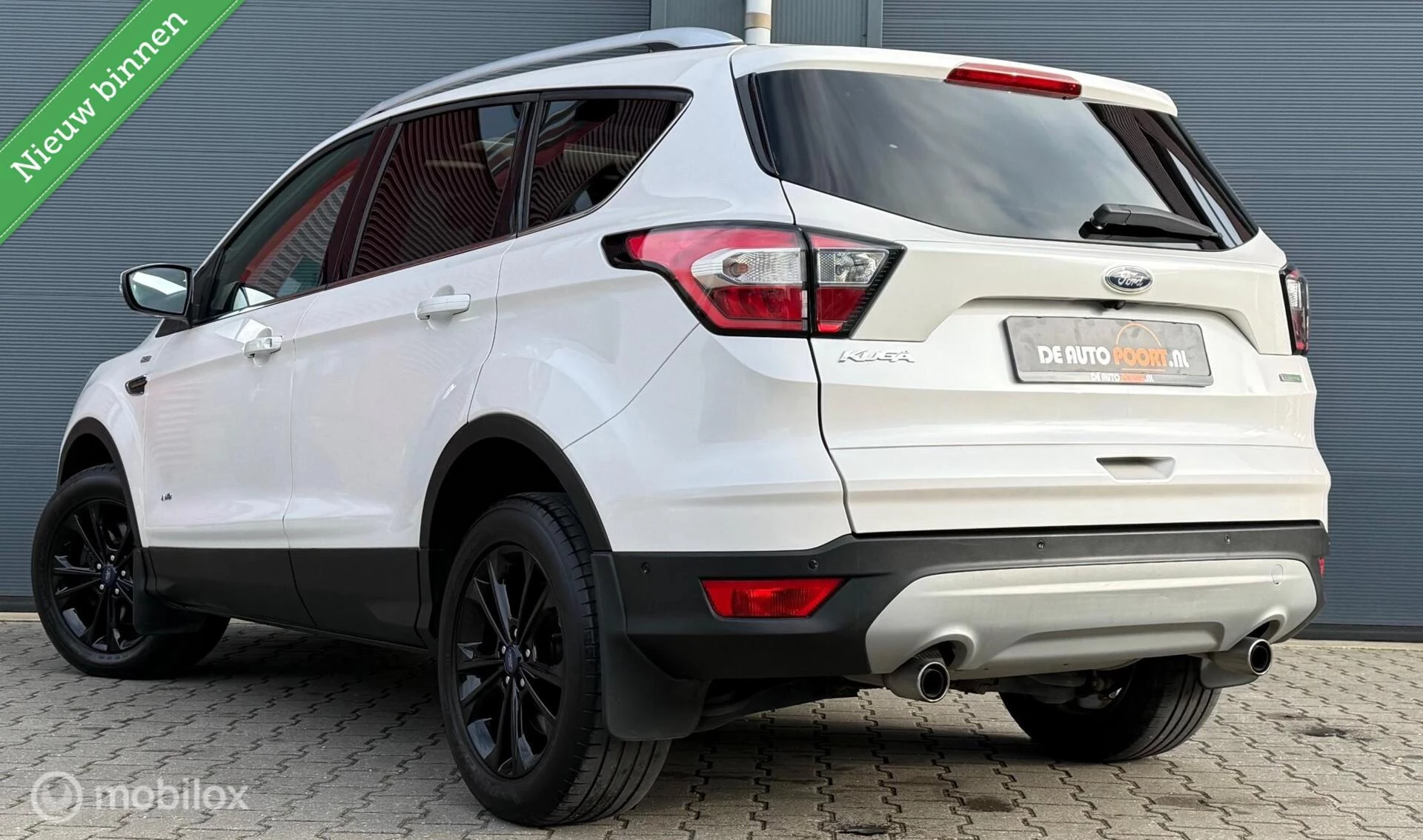 Hoofdafbeelding Ford Kuga