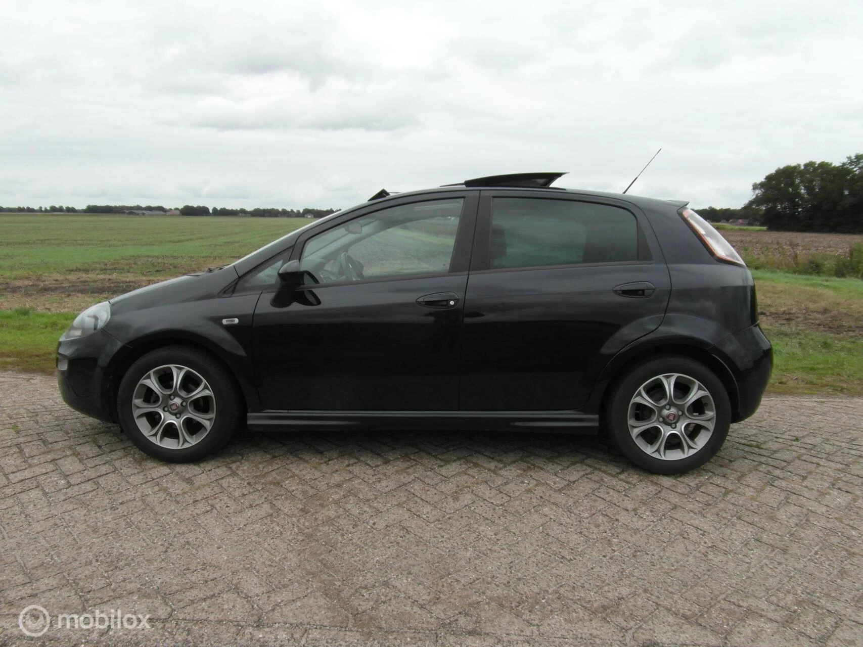 Hoofdafbeelding Fiat Punto