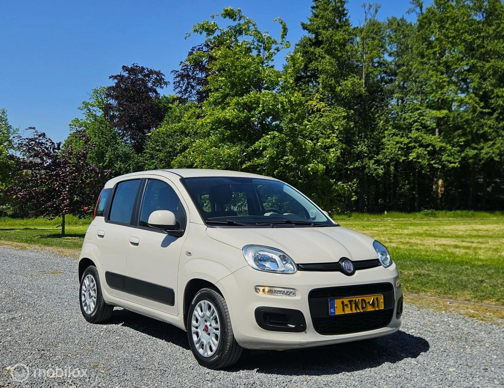 Hoofdafbeelding Fiat Panda