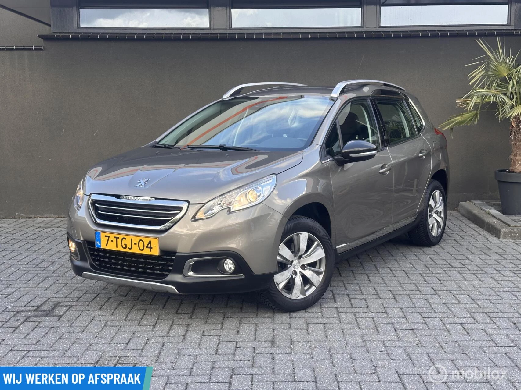 Hoofdafbeelding Peugeot 2008