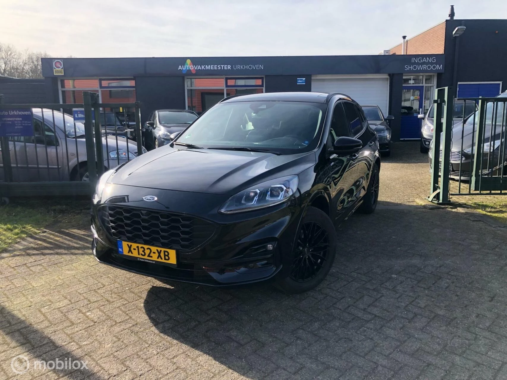 Hoofdafbeelding Ford Kuga