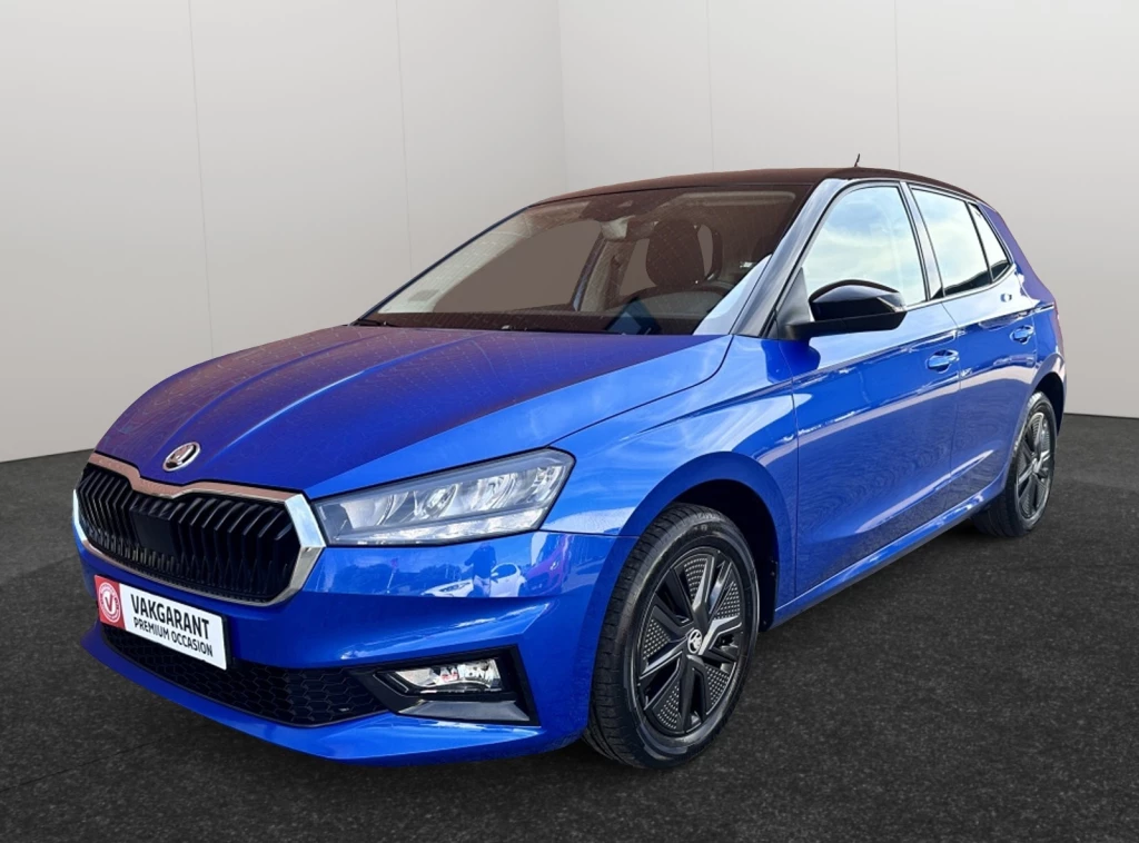 Hoofdafbeelding Škoda Fabia