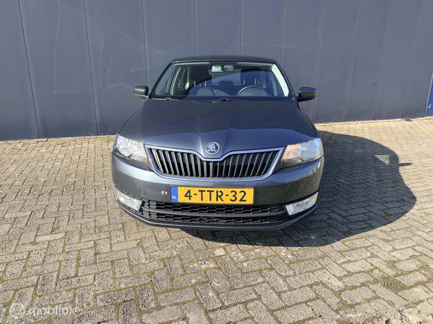 Hoofdafbeelding Škoda Rapid