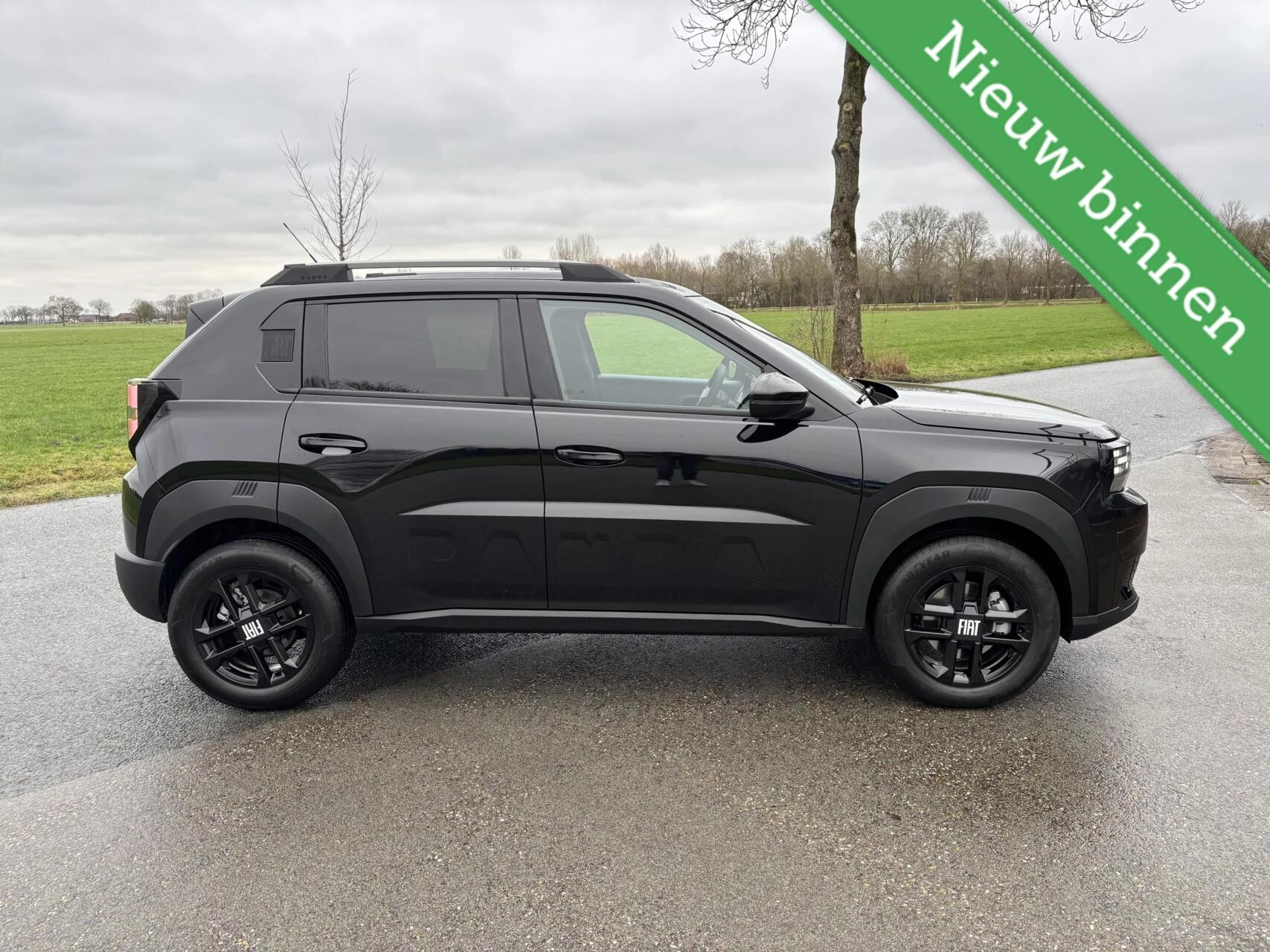 Hoofdafbeelding Fiat Grande Panda