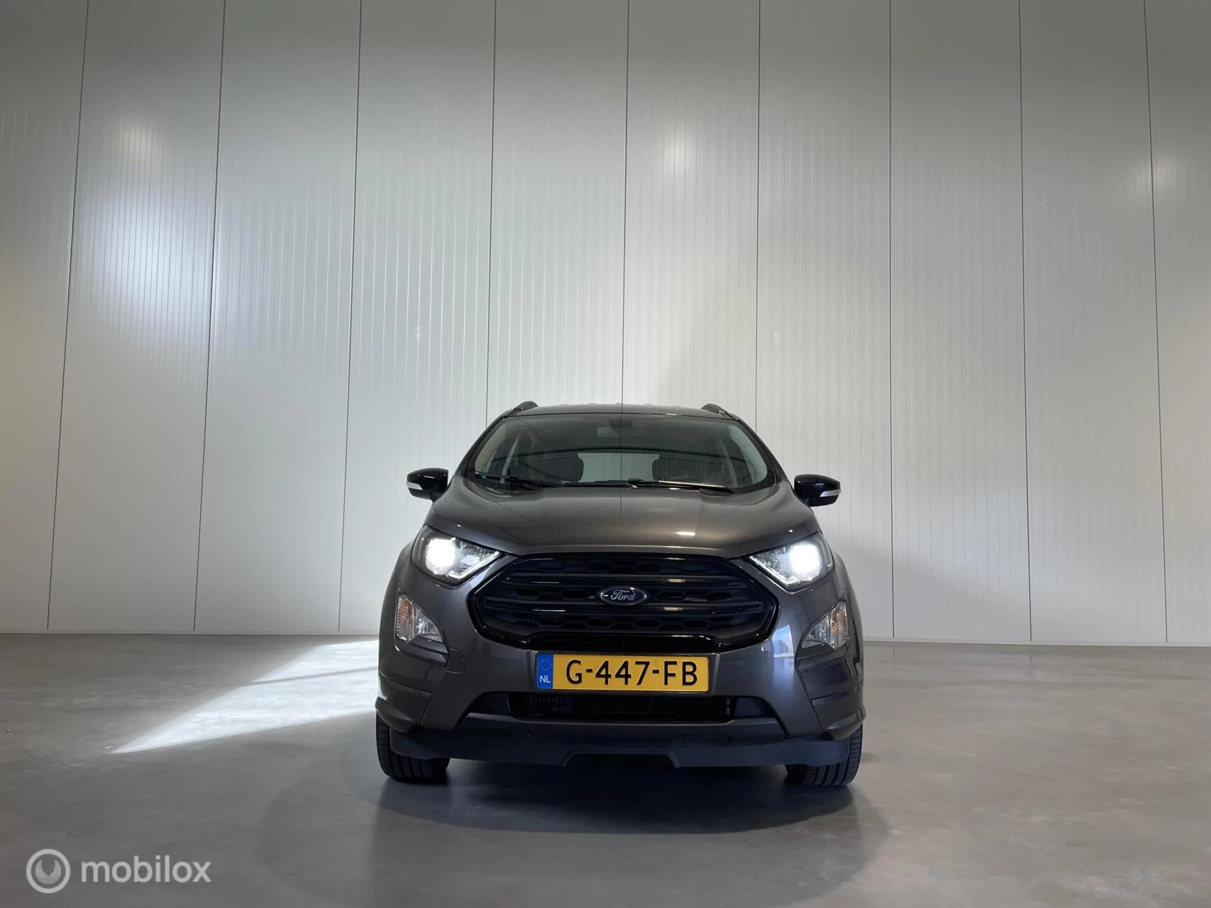 Hoofdafbeelding Ford EcoSport