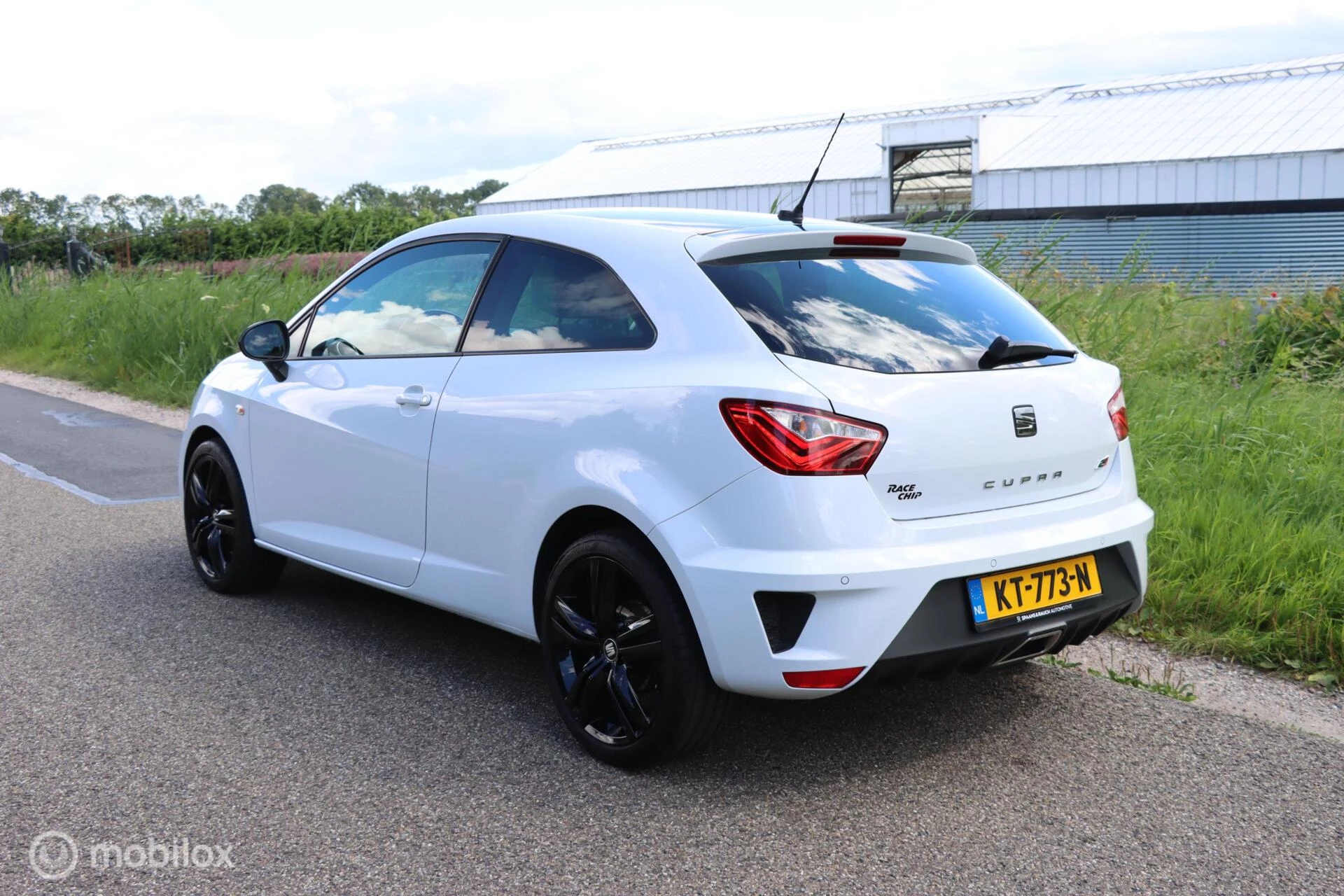 Hoofdafbeelding SEAT Ibiza